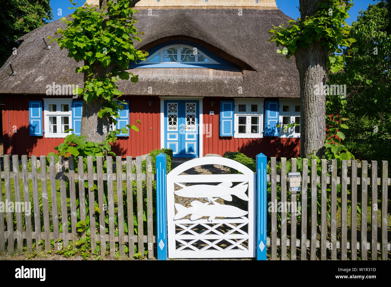 ' thatched house in Ahrenshoop, Darß, Fischland, Baltic Sea, Mecklenburg-Western Pomerania; Germany, Europe' Stock Photo