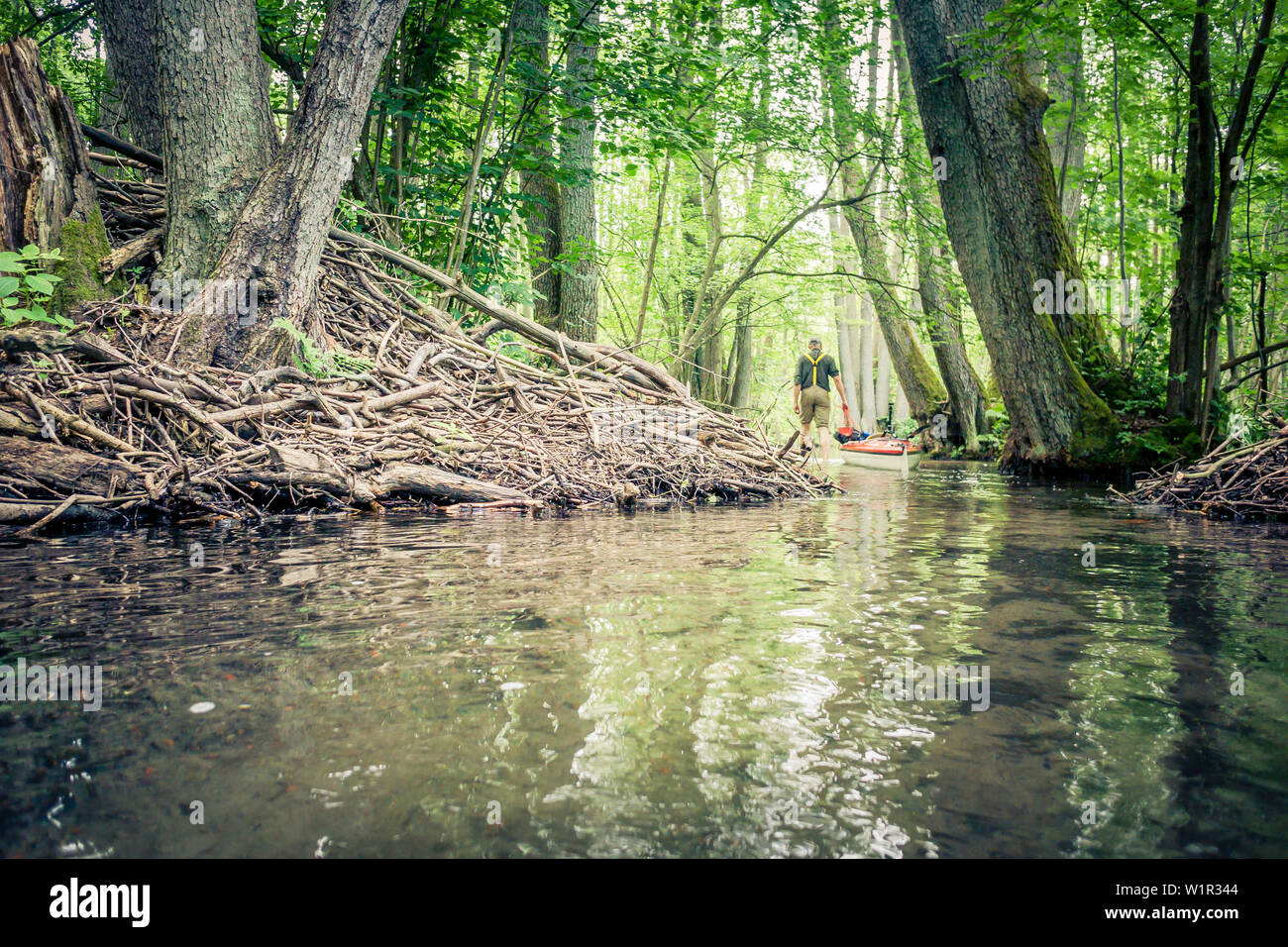 Kayaking tour through the narrow rivers of the Feldberger Seenlandschaft Stock Photo