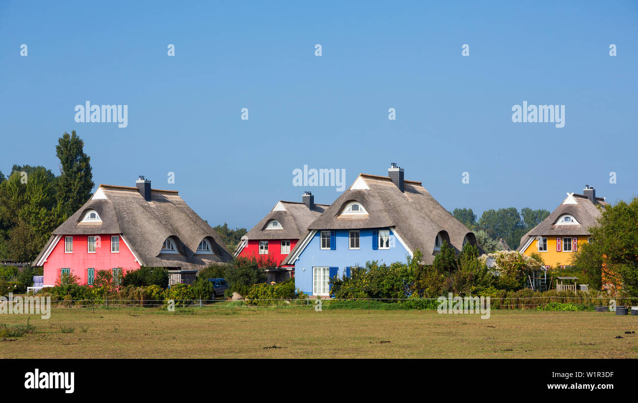 ' colourful thatched houses in Ahrenshoop, Darß, Fischland, Baltic Sea, Mecklenburg-Western Pomerania; Germany, Europe' Stock Photo