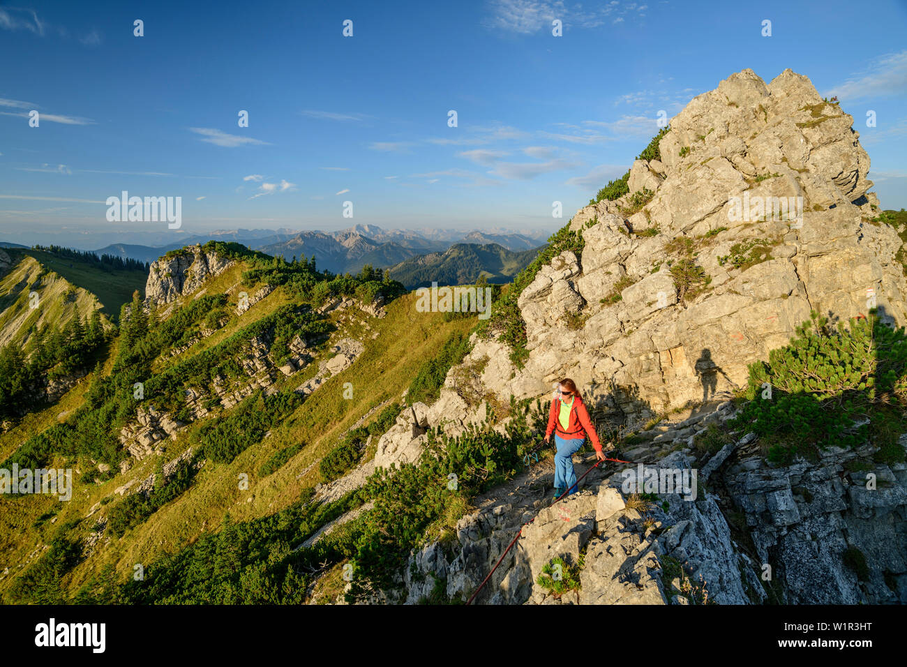 Woman while hiking rises to Aiplspitze, Aiplspitze, Mangfall Mountains, the Bavarian Alps, Upper Bavaria, Bavaria, Germany Stock Photo