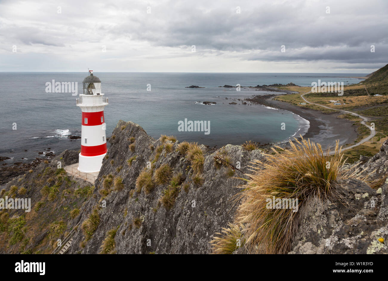 Cape Palliser, Wellington, North Island, New Zealand, Oceania Stock Photo