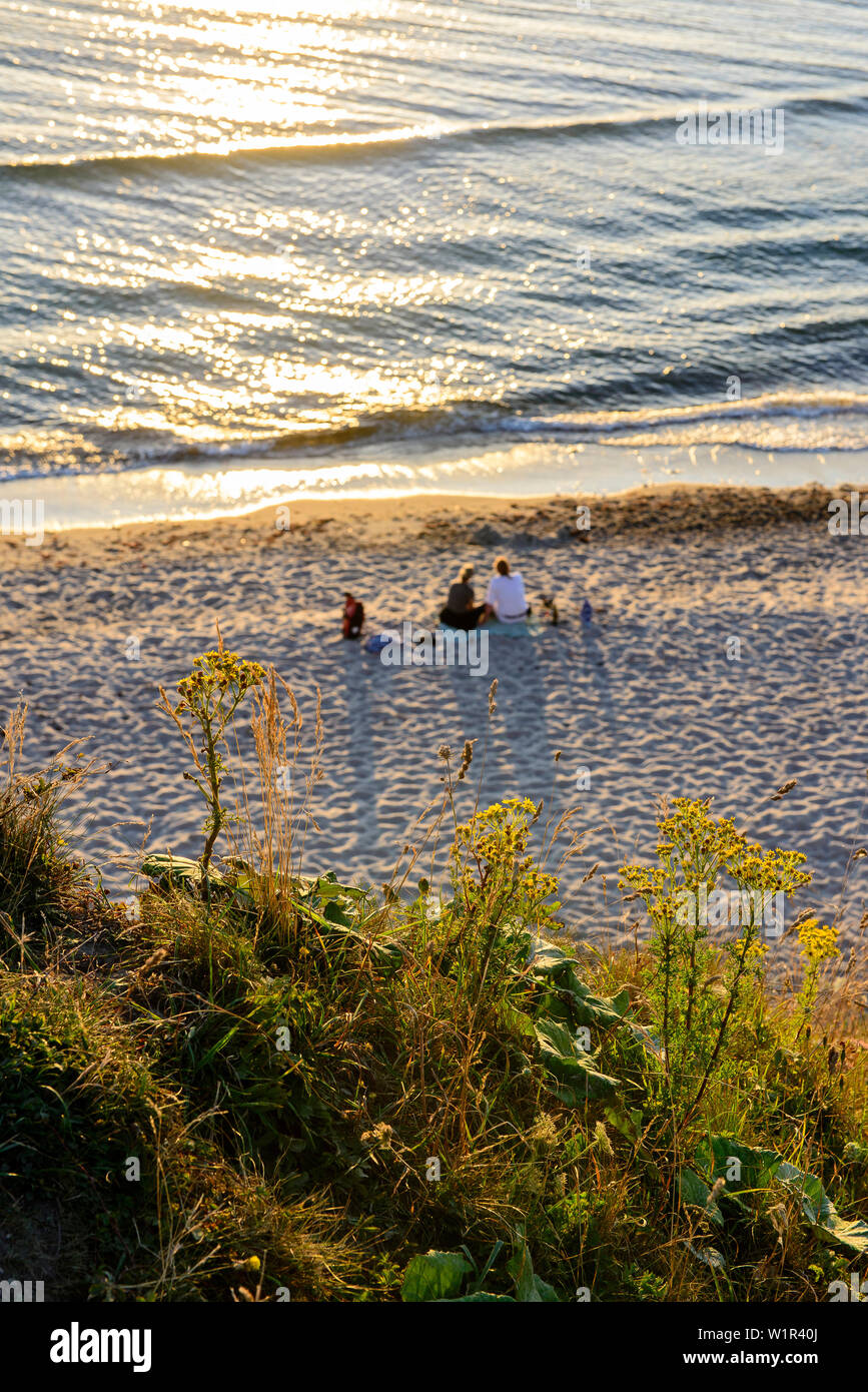 View from cliff on beach in Ahrenshoop, Fischland, Ostseeküste, Mecklenburg-Western Pomerania, Germany Stock Photo