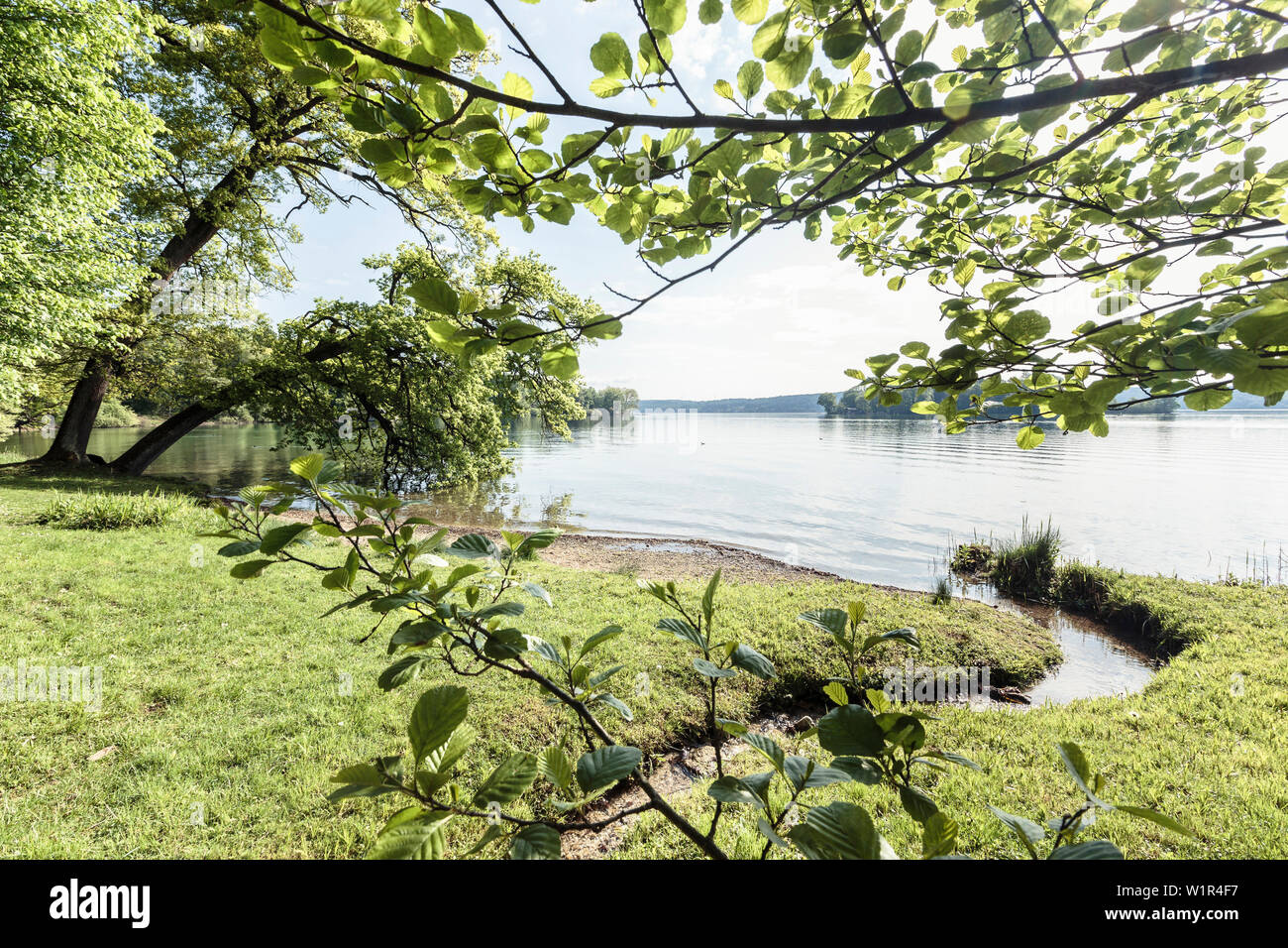 Stream running into lake Starnberg. Oak trees on the left, rose island in the background. Feldafing, Bavaria, Germany Stock Photo