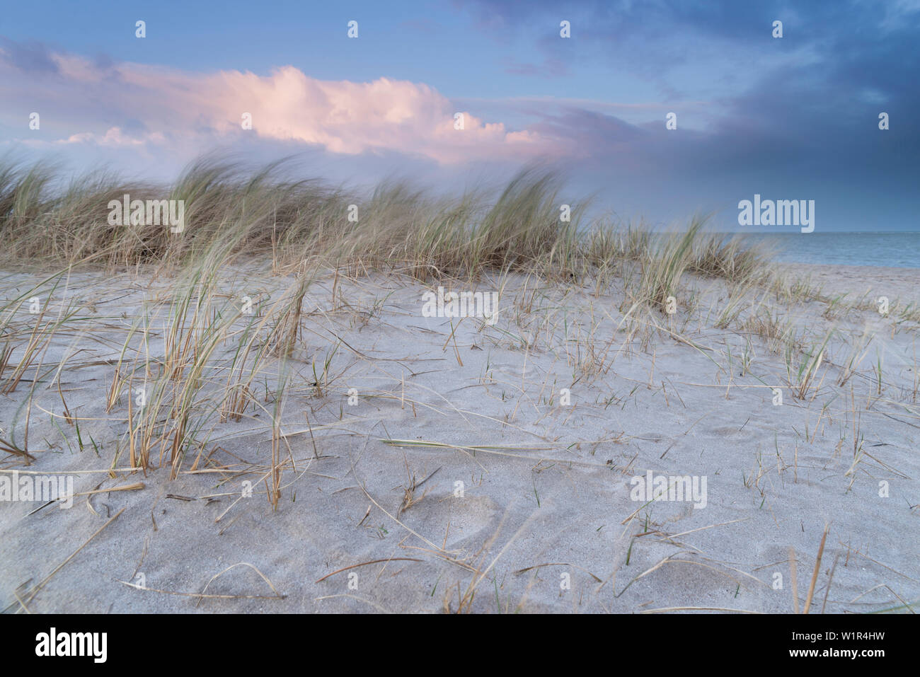 Dune, Beach, Dusk, Schillig, Wangerland, North Sea, Friesland District, Lower Saxony, Germany, Europe Stock Photo
