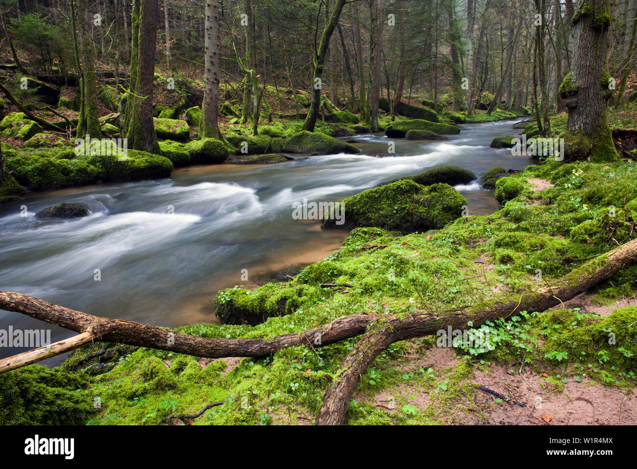 Lower moss nature reserve hi-res stock photography and images - Alamy