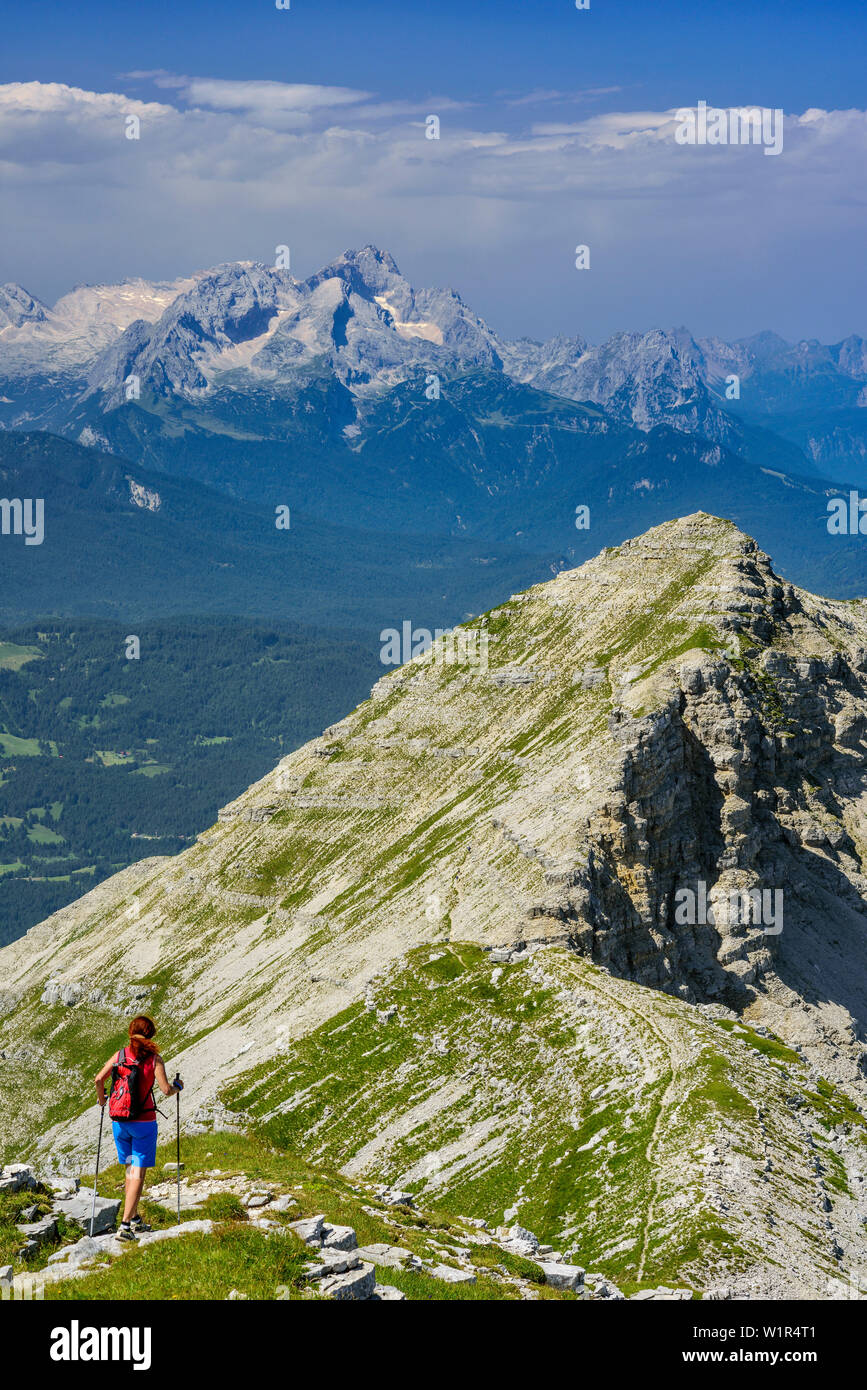Woman hiking descending from Soiernspitze, Reissende Lahnspitze and Wetterstein range with Zugspitze in background, Soiernspitze, Karwendel range, Upp Stock Photo