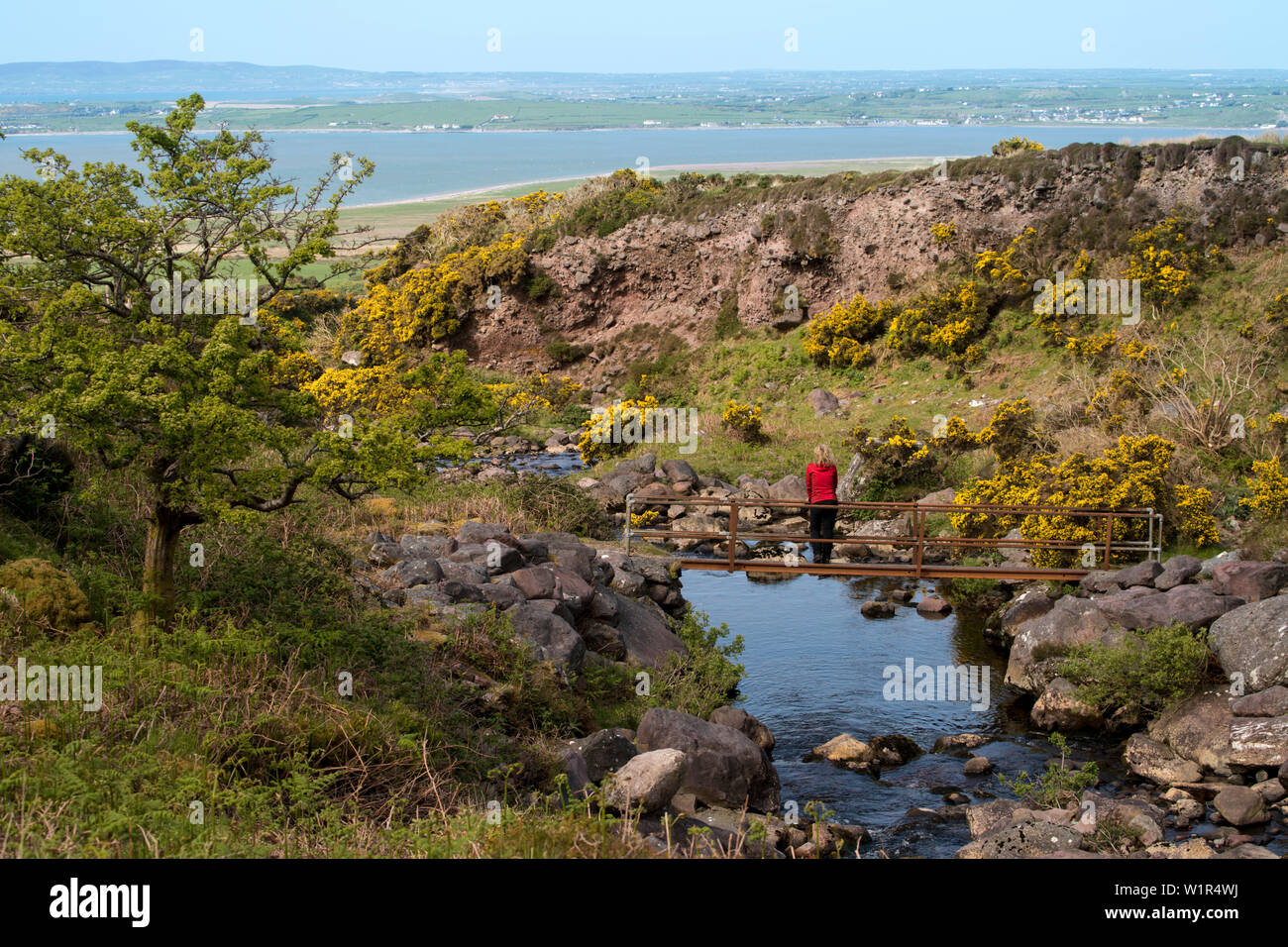 A young woman with blond curls in a red jacket stands on a small bridge that crosses a creek which flows into the Atlantic Ocean at Tralee Bay on the Stock Photo