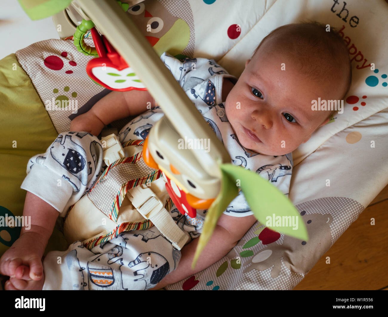 Baby in Toy Bouncer Stock Photo