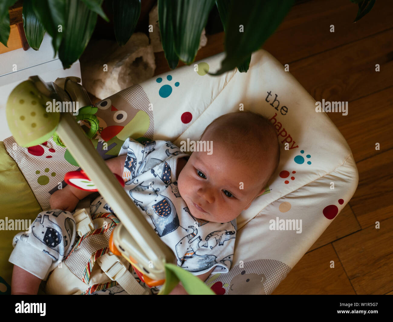 Baby in Toy Bouncer Stock Photo Alamy