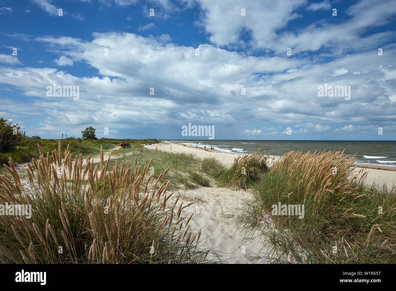 Ostseekueste hires stock photography and images Alamy
