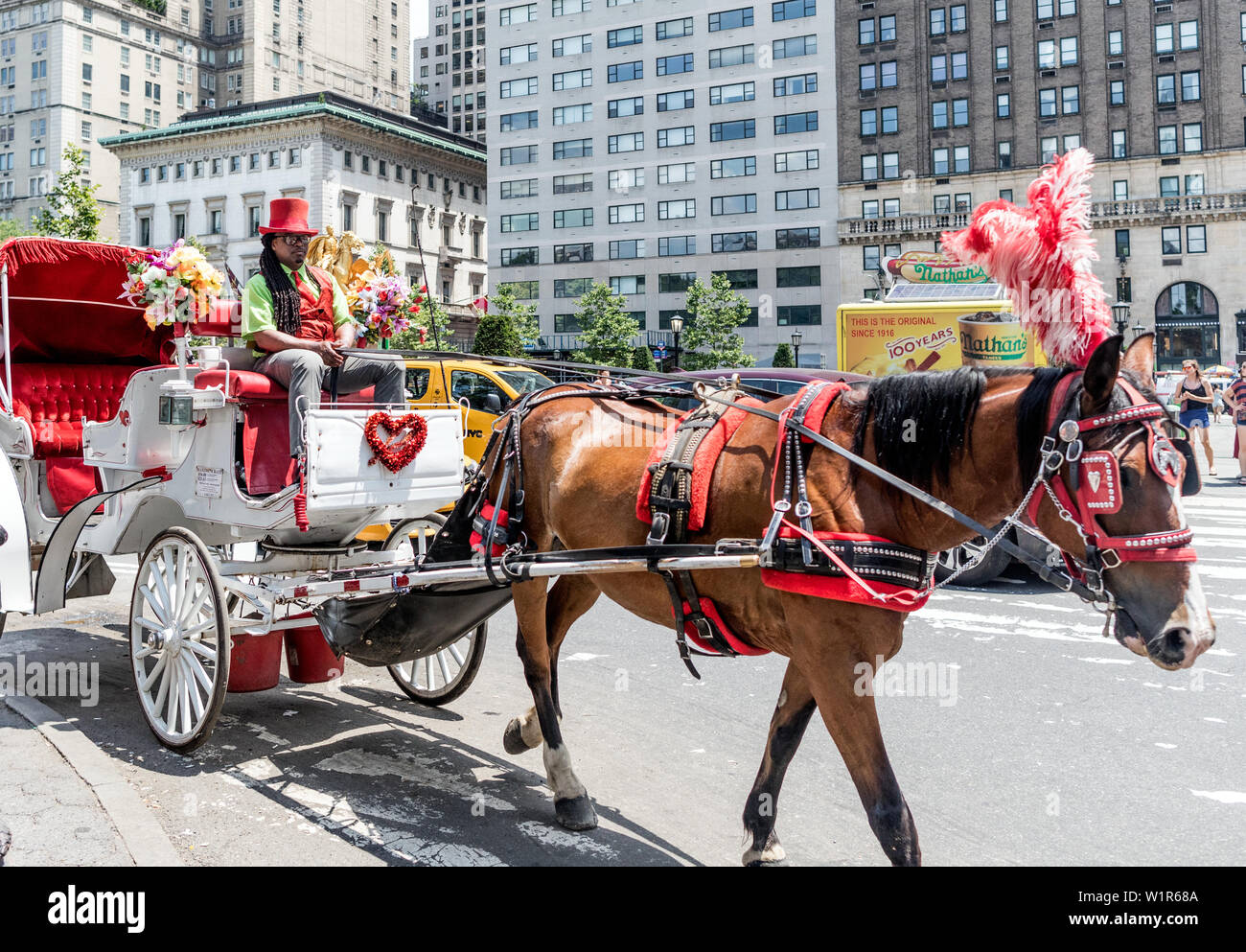 Horse and Carriage In Central Park New York USA Stock Photo