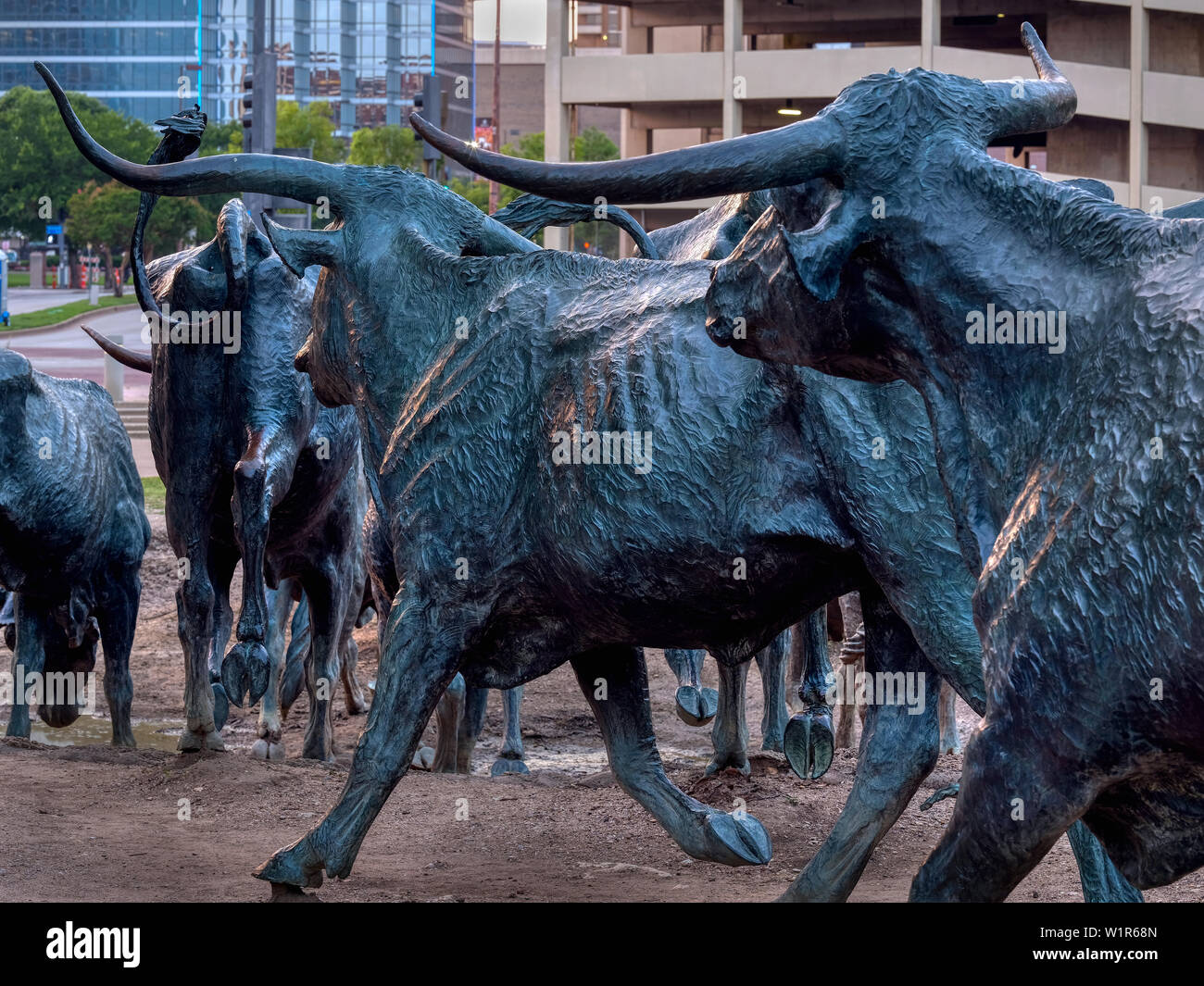 Dallas texas cattle sculptures hires stock photography and images Alamy
