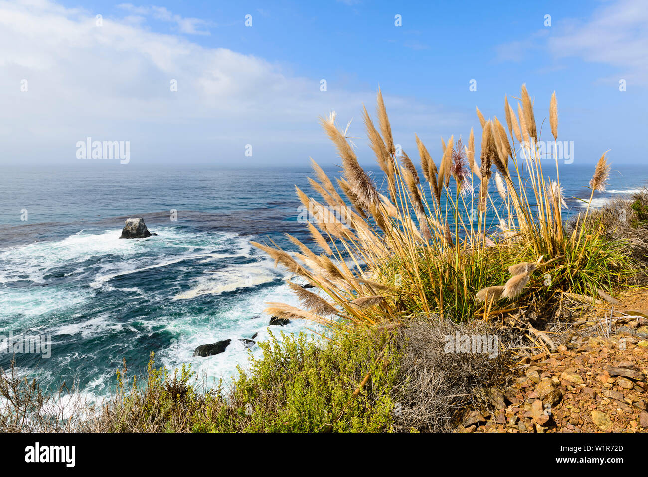 Reed breakers hi-res stock photography and images - Alamy