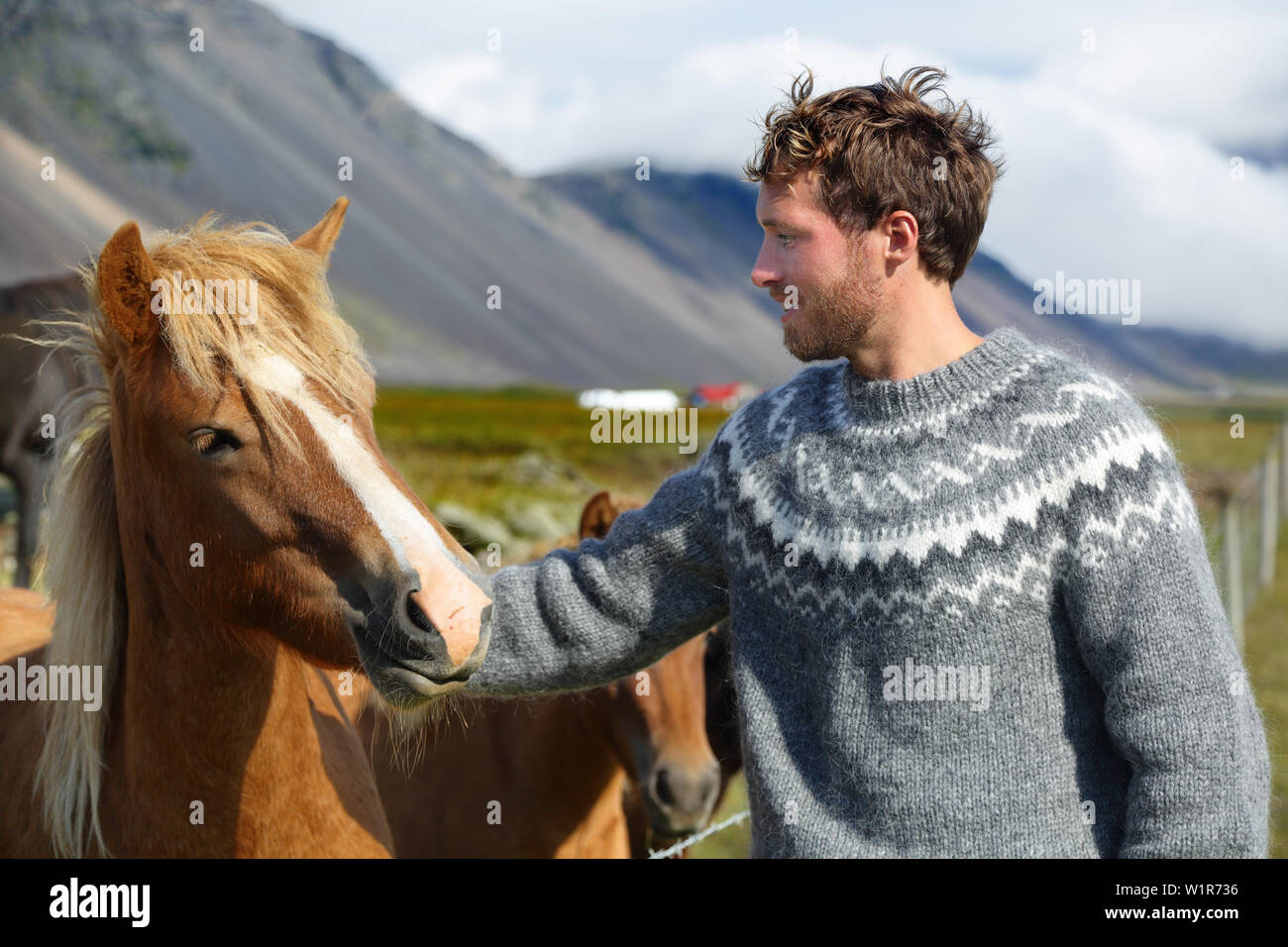 Icelandic horses - man petting horse on Iceland. Man in Icelandic sweater going horseback riding smiling happy with horse in beautiful nature on Iceland. Handsome Scandinavian model. Stock Photo