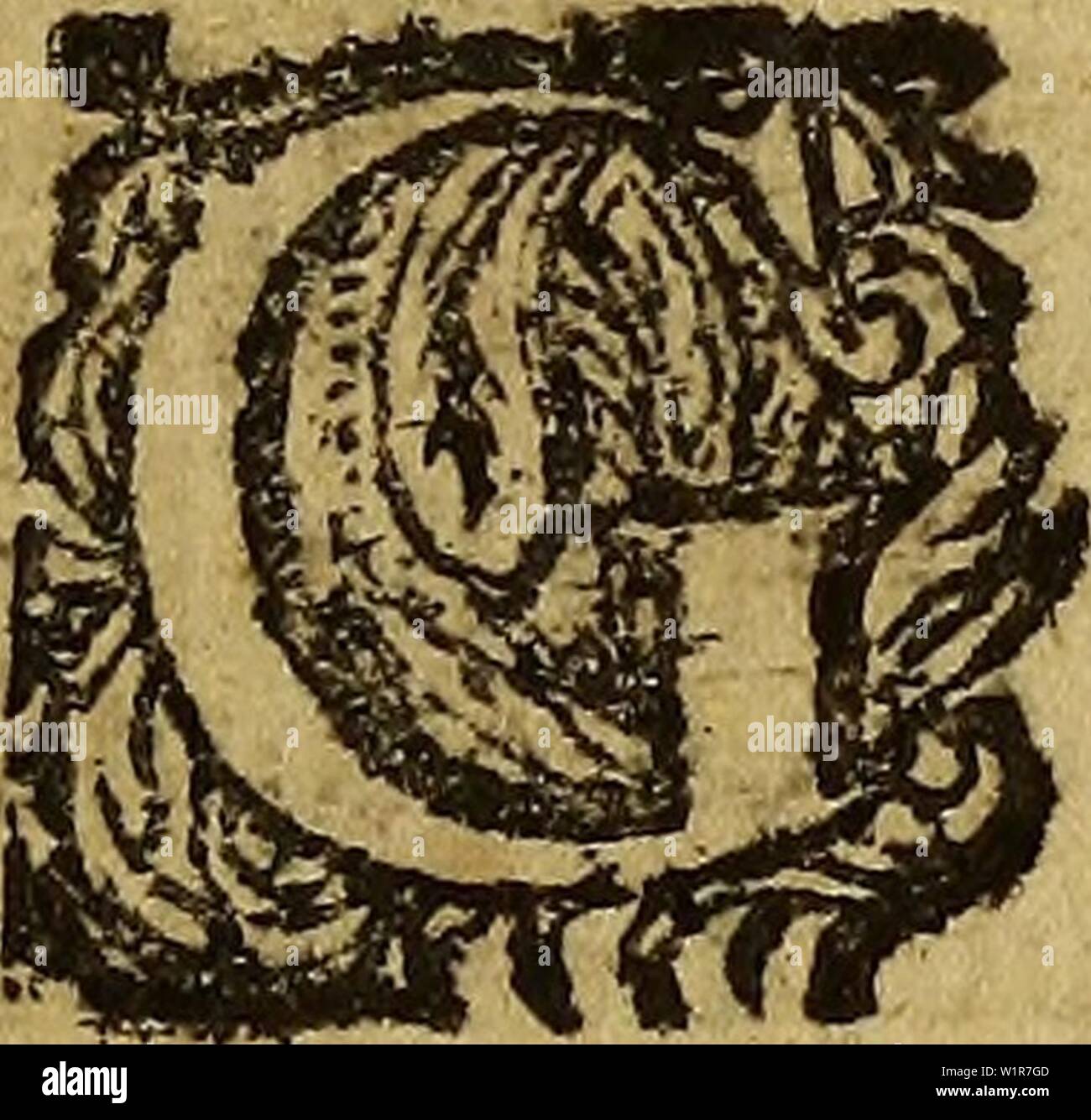 Magel hi-res stock photography and images - Alamy