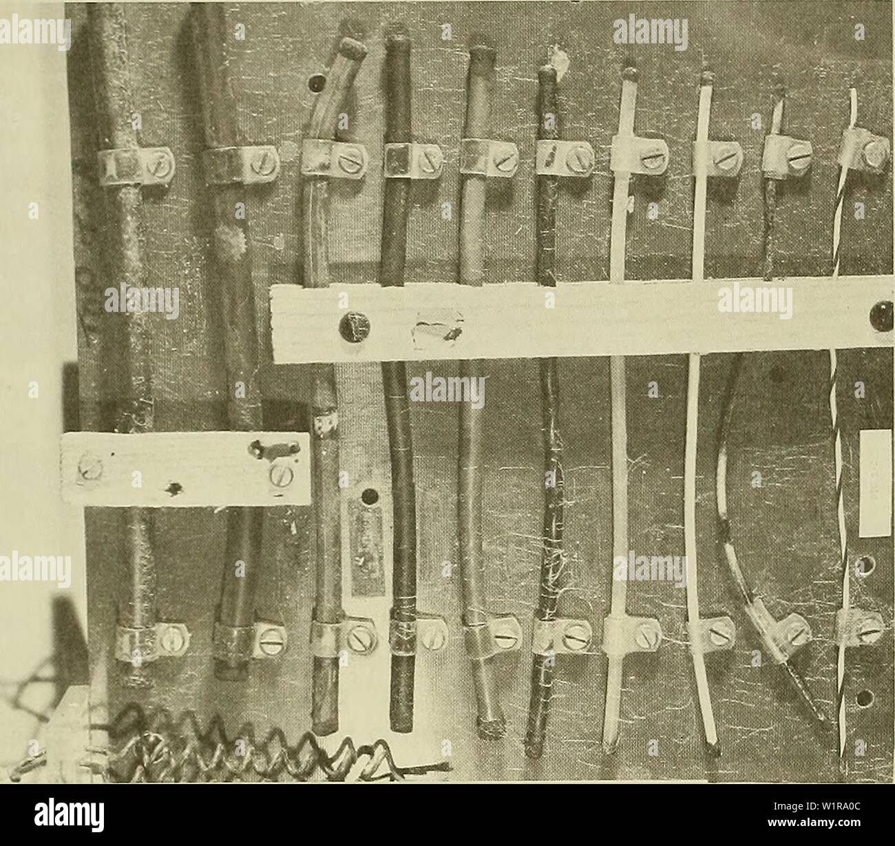 Archive image from page 46 of Deep-ocean biodeterioration of materials ...