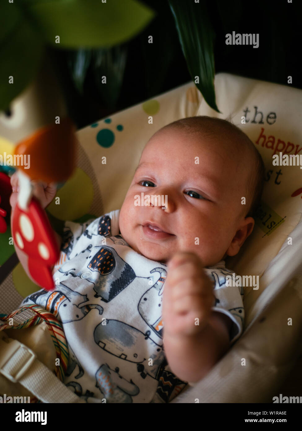 Baby in Toy Bouncer Stock Photo Alamy