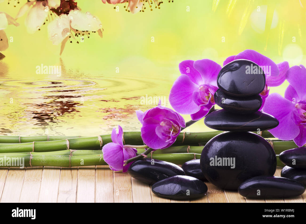 wellness environment with some bamboo stalks, beautiful, purple orchid flowers and black stone tower for massage. Spring bloom in the background Stock Photo