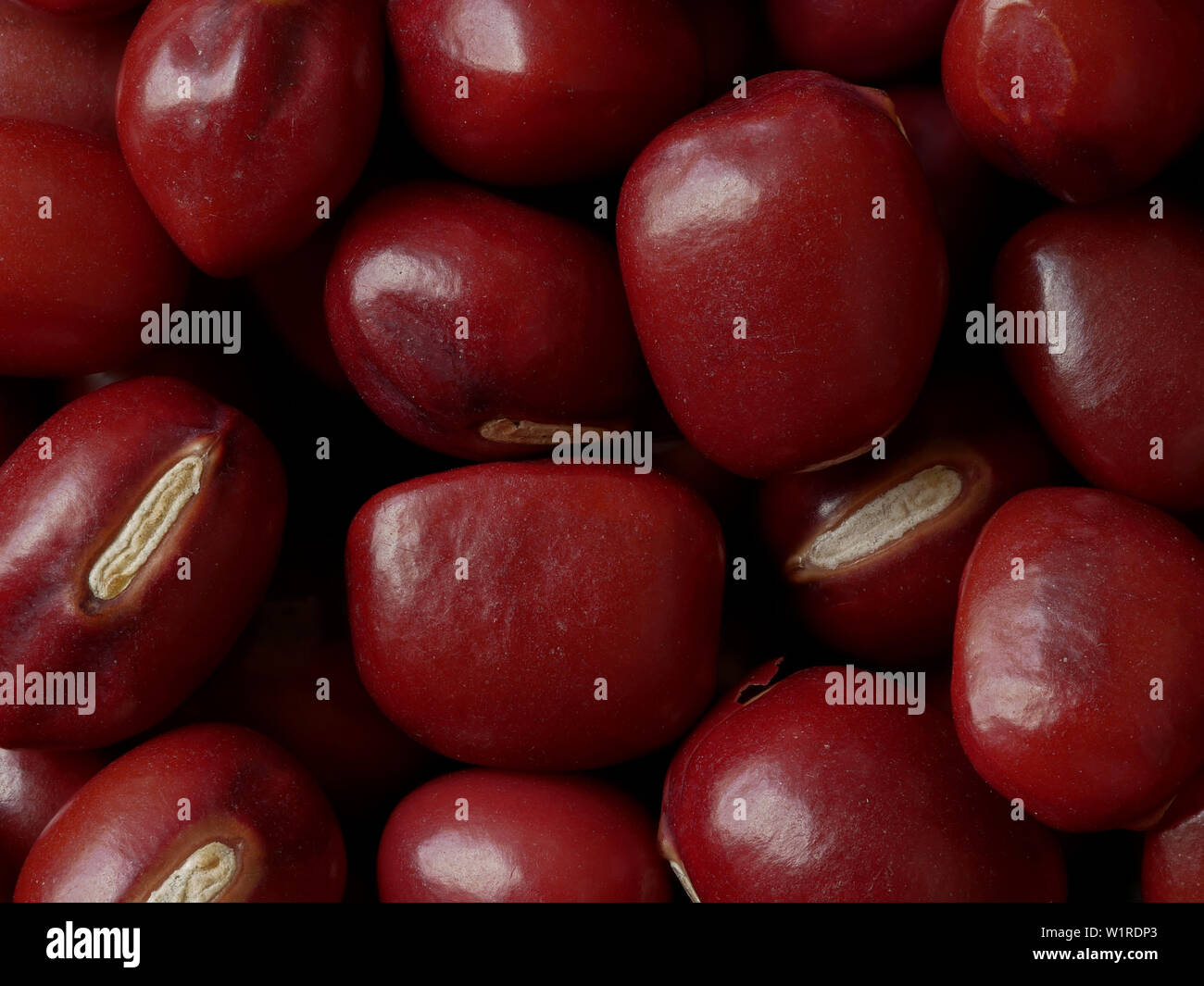 Macro Close-up of Adzuki Beans, Vigna angularis, Food Background Stock Photo