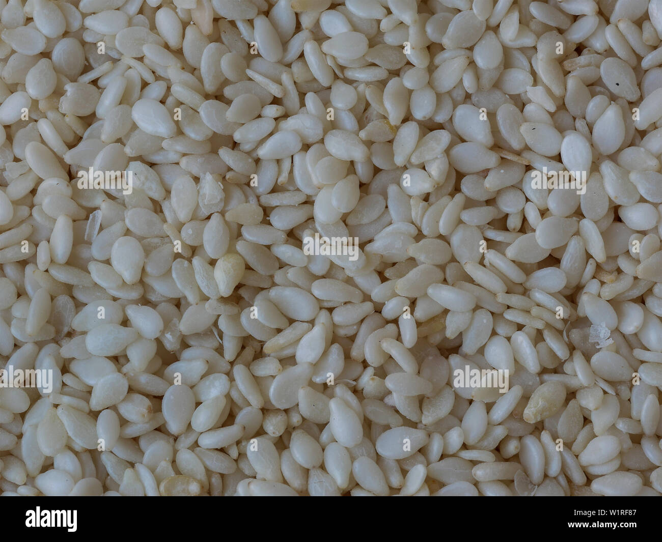 Close-up of Sesame Seeds, Sesamum indicum, Food Background Stock Photo