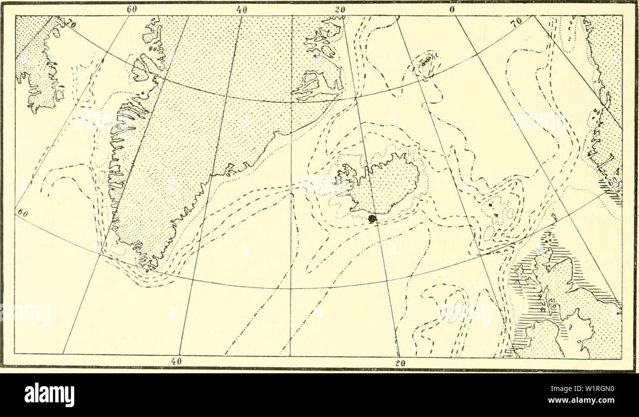 Archive image from page 61 of The Danish Ingolf-expedition (1898). The Danish Ingolf-expedition  danishingolfexpe1517dani Year: 1898 56 HYDROIDA II Forma microtheca: length of hydrotheca '4—7s tne length of the internodium; the internodia of slender build. Material (forma typicd): 'Thor' 35°57' N., 5°35' W., depth 740 metres Iceland: Vestmano, depth 50 fathoms. Plumularia setacea divides in the same manner as the foregoing into a widely distributed warm water variety, forma microtheca, and a temperate forma typica, occurring both in subantarctic and boreal waters. Plumularia setacea is in nort Stock Photo