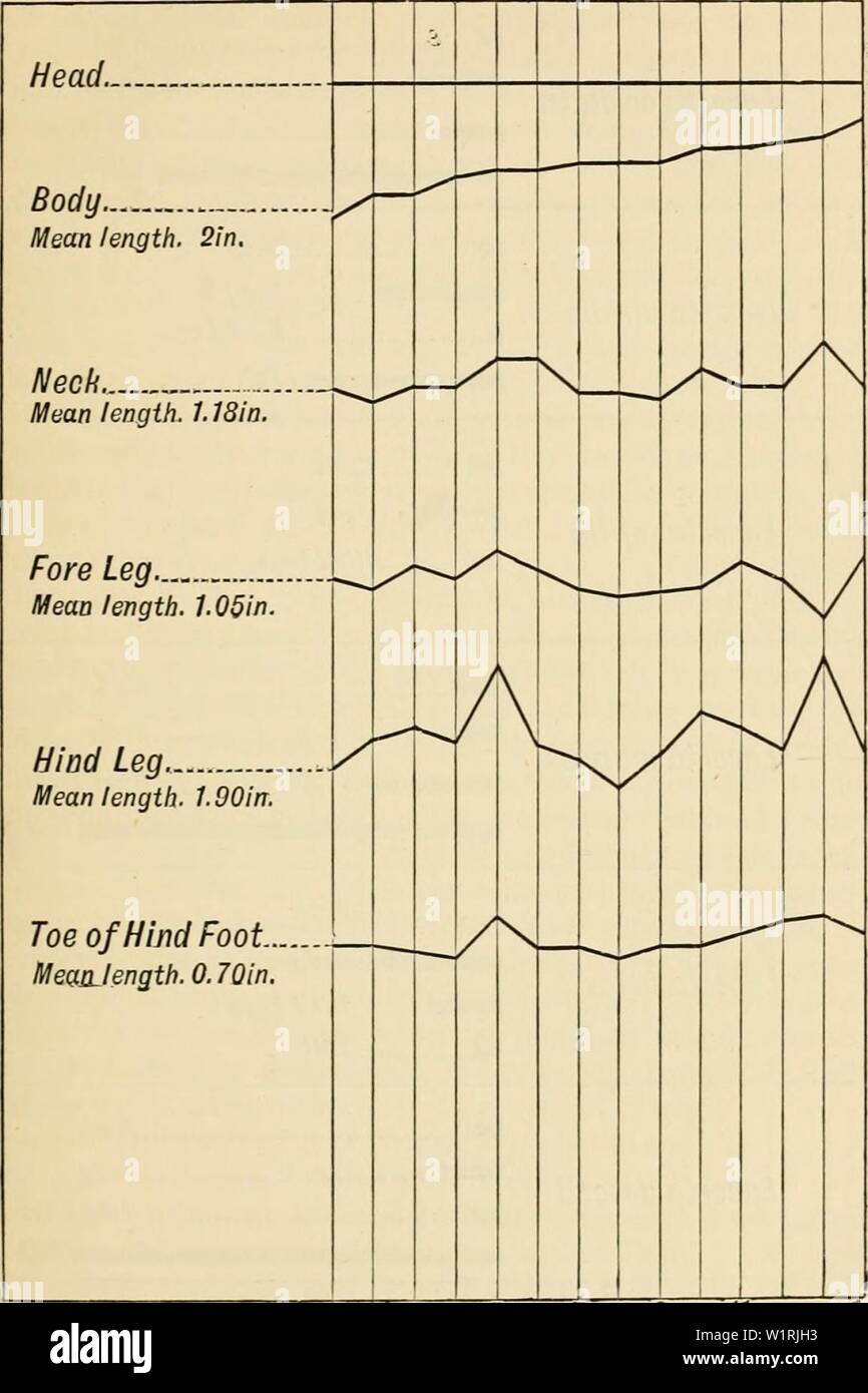 Archive image from page 66 of Darwinism an exposition of Stock Photo