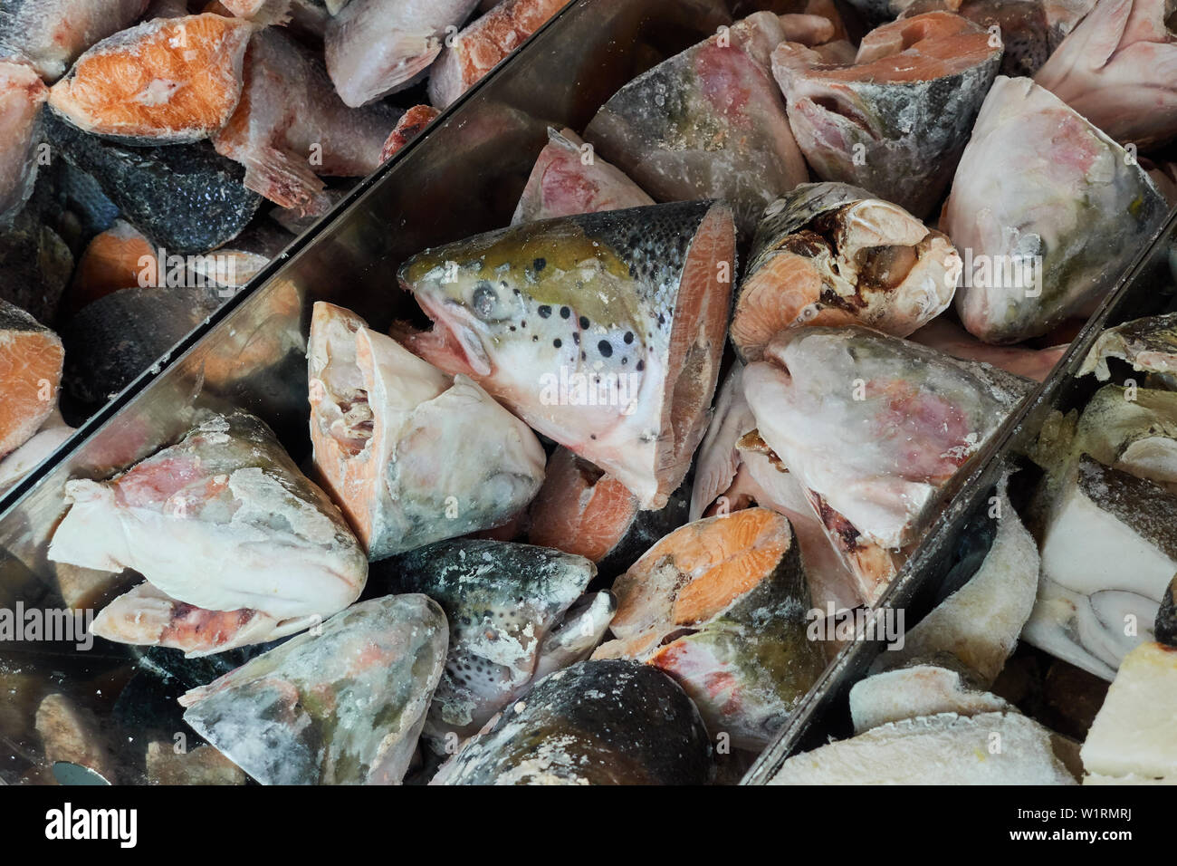 Frozen fish in the refrigerator grocery store Stock Photo Alamy