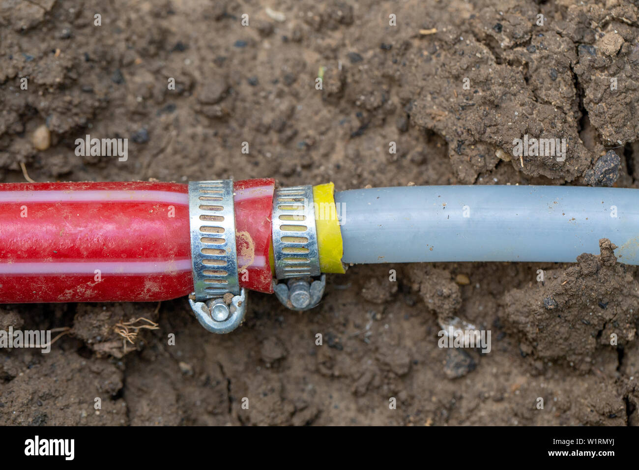 Pipe connection, drip irrigation system close up. PVC pipe clamp used