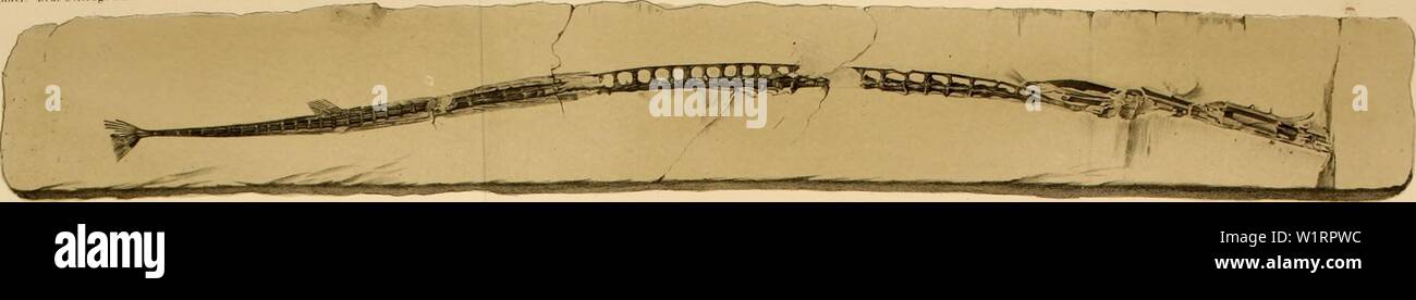 B Y O High Resolution Stock Photography And Images Alamy
