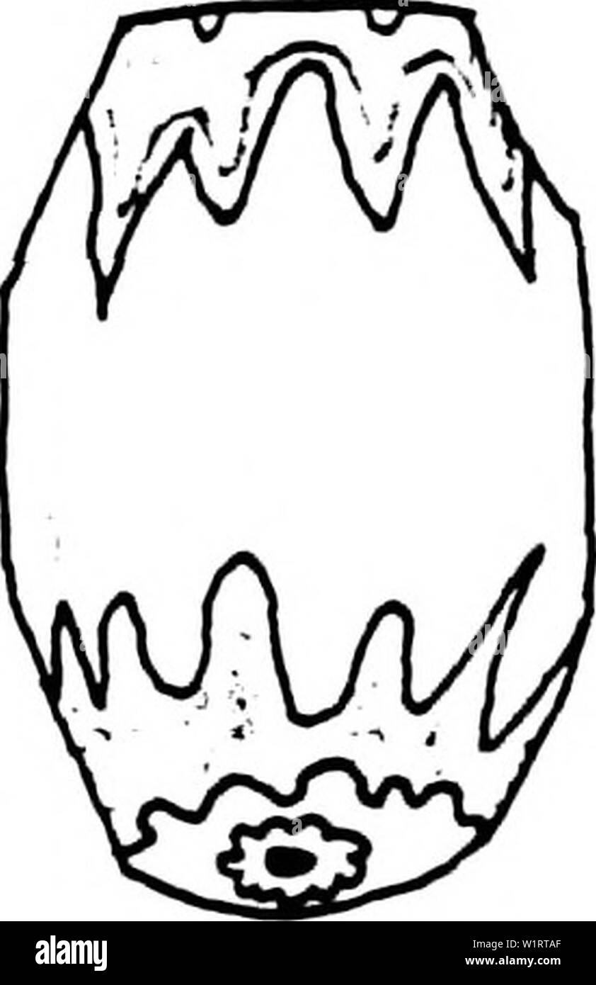 Archive image from page 77 of Depopulation and culture change in Stock Photo