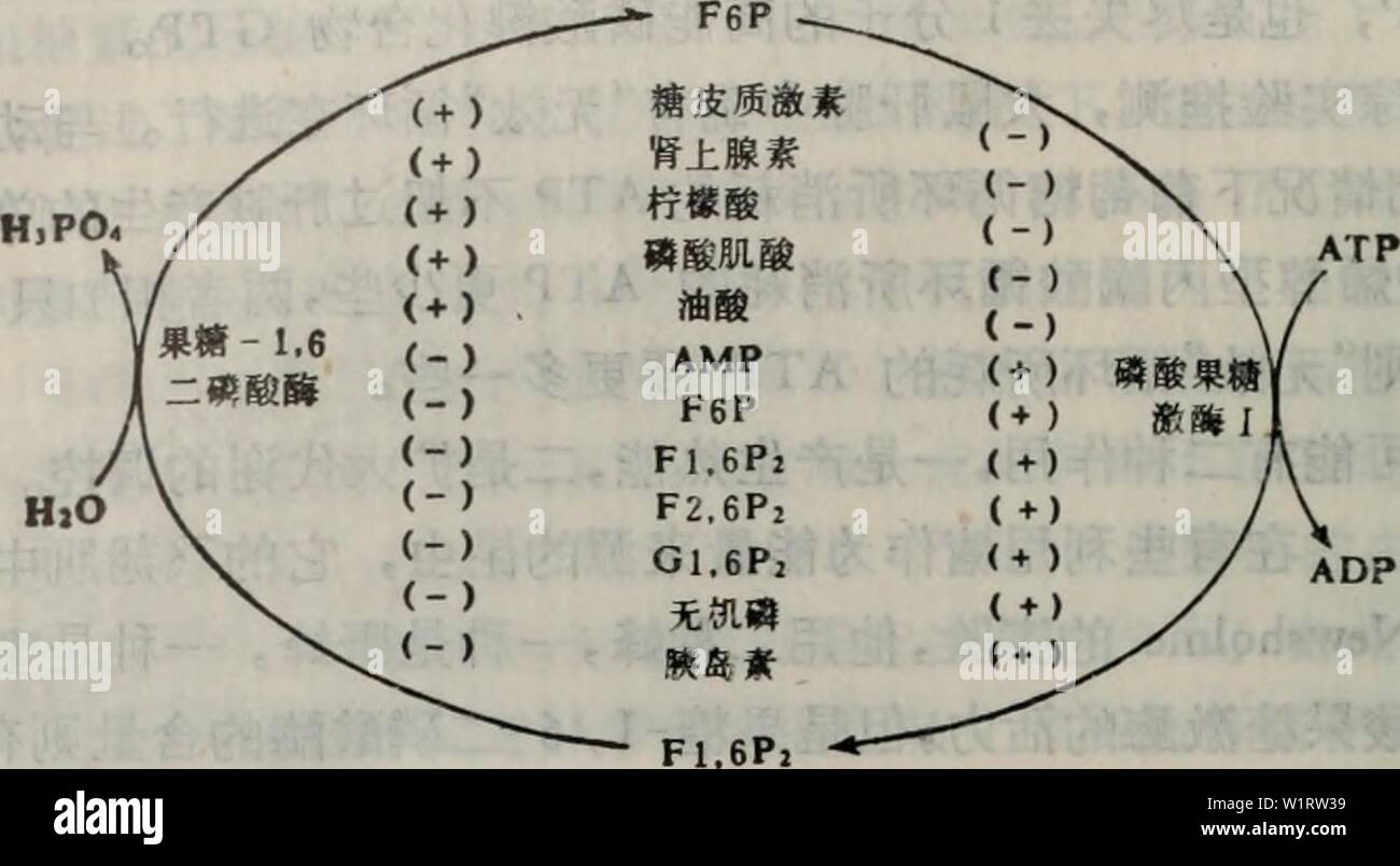 Ai wei wei book hires stock photography and images Alamy