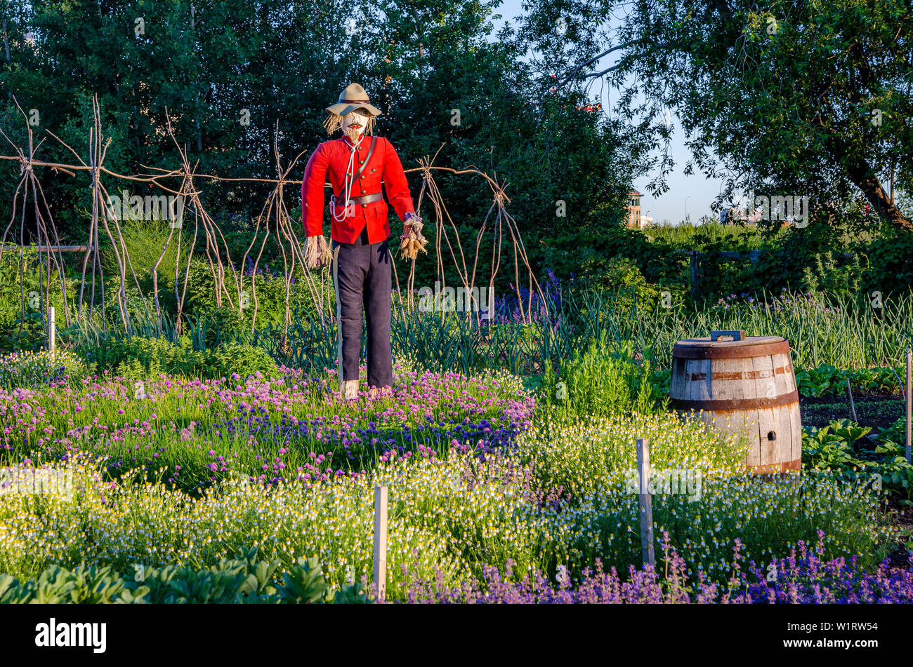 Northwest Mounted Police scarecrow, Heritage Garden, Fort Calgary, Alberta, Canada Stock Photo