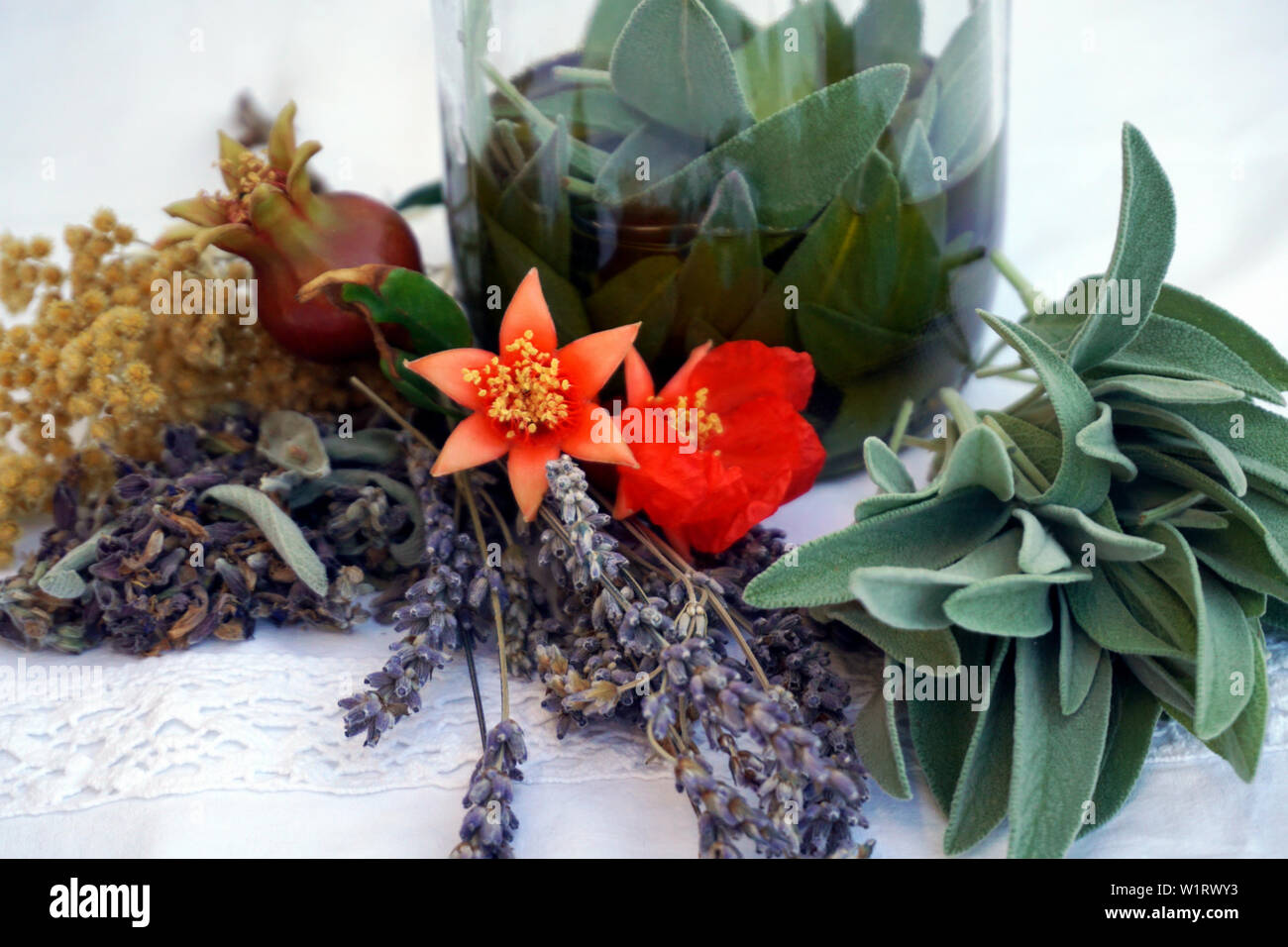 Pile of natural, organic plants for the preparation of healthy herbal