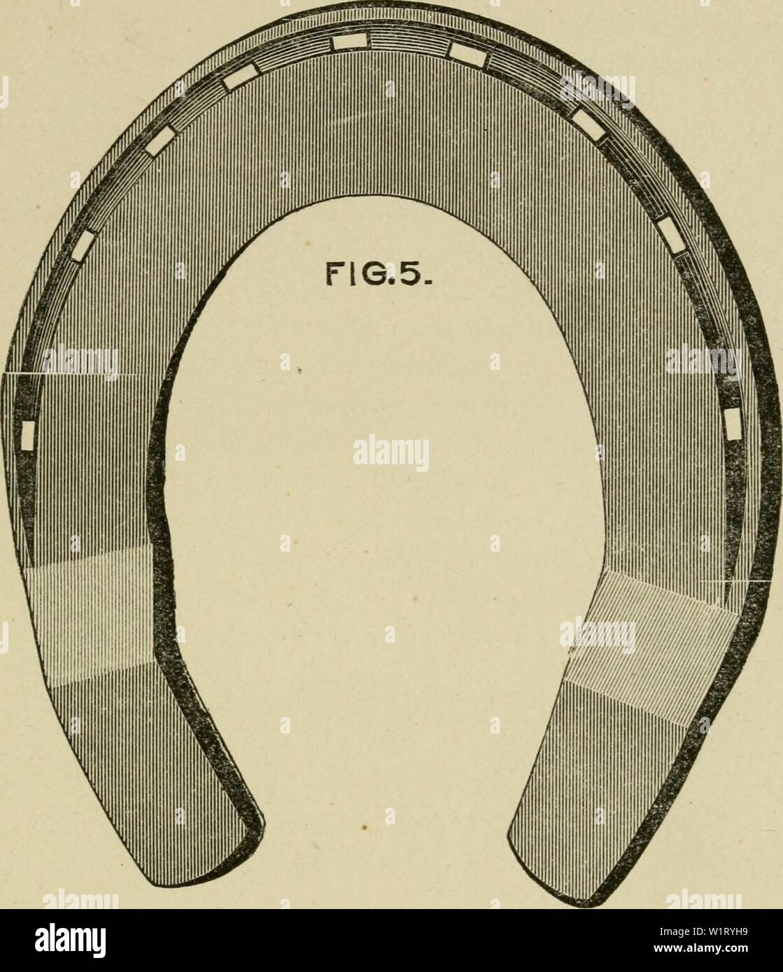 Diac High Resolution Stock Photography And Images Alamy