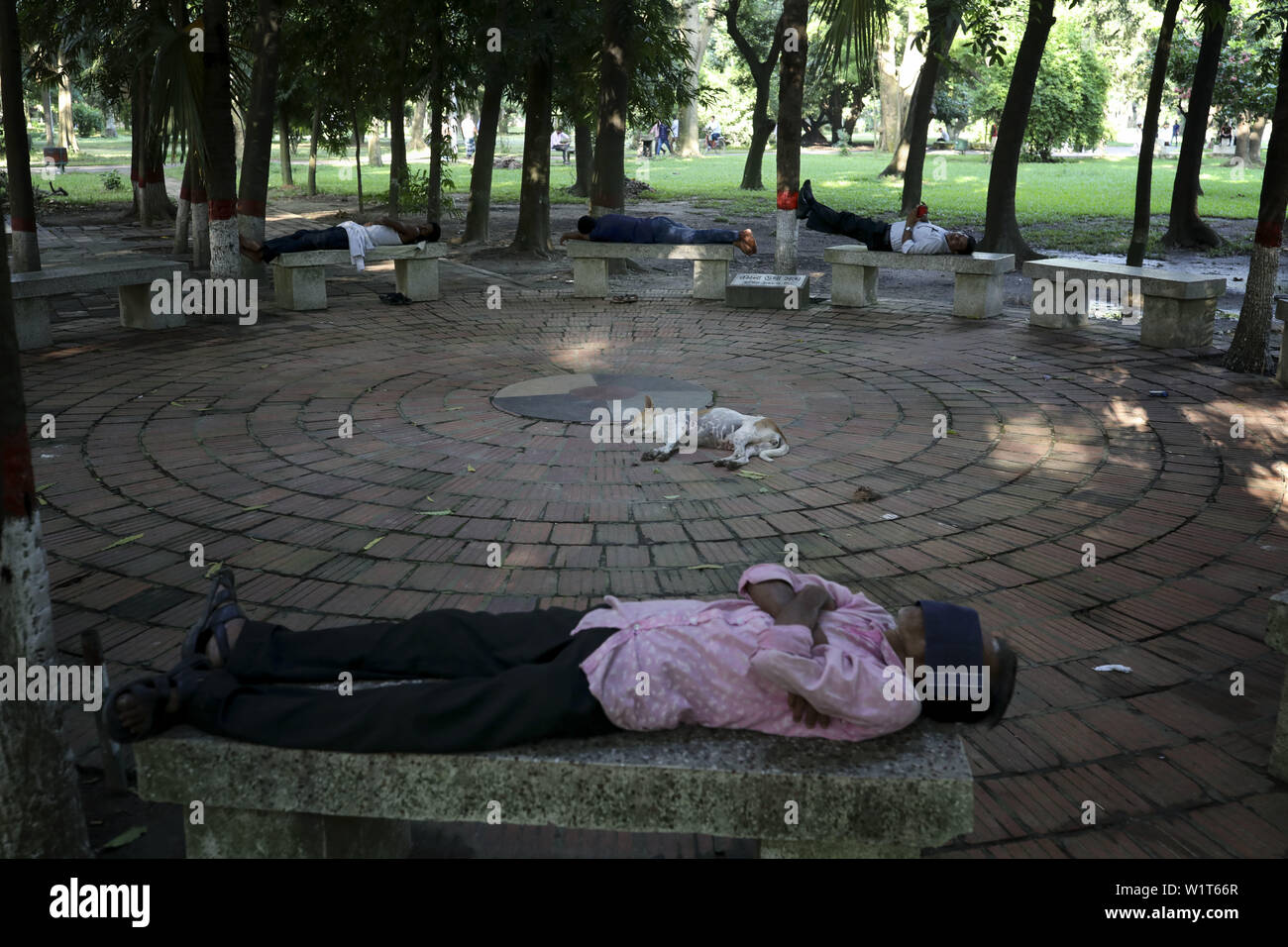 July 3, 2019 - Dhaka, Bangladesh - People are sleeping in middle of the day at ramna park Dhaka Bangladesh (Credit Image: © Kazi Salahuddin via ZUMA Wire) Stock Photo