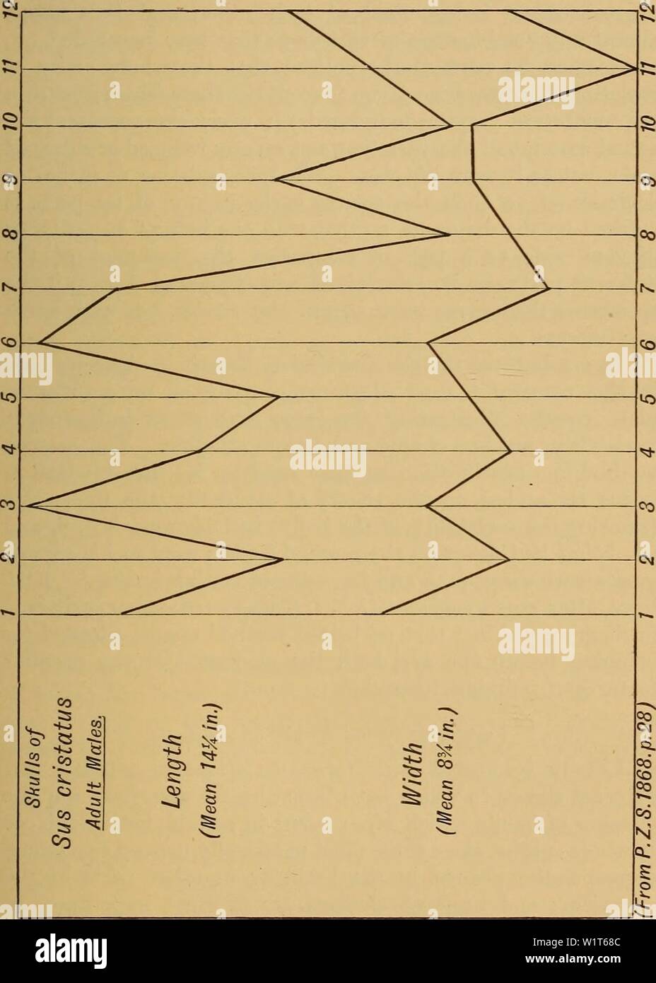 Archive image from page 94 of Darwinism; an exposition of the Stock Photo