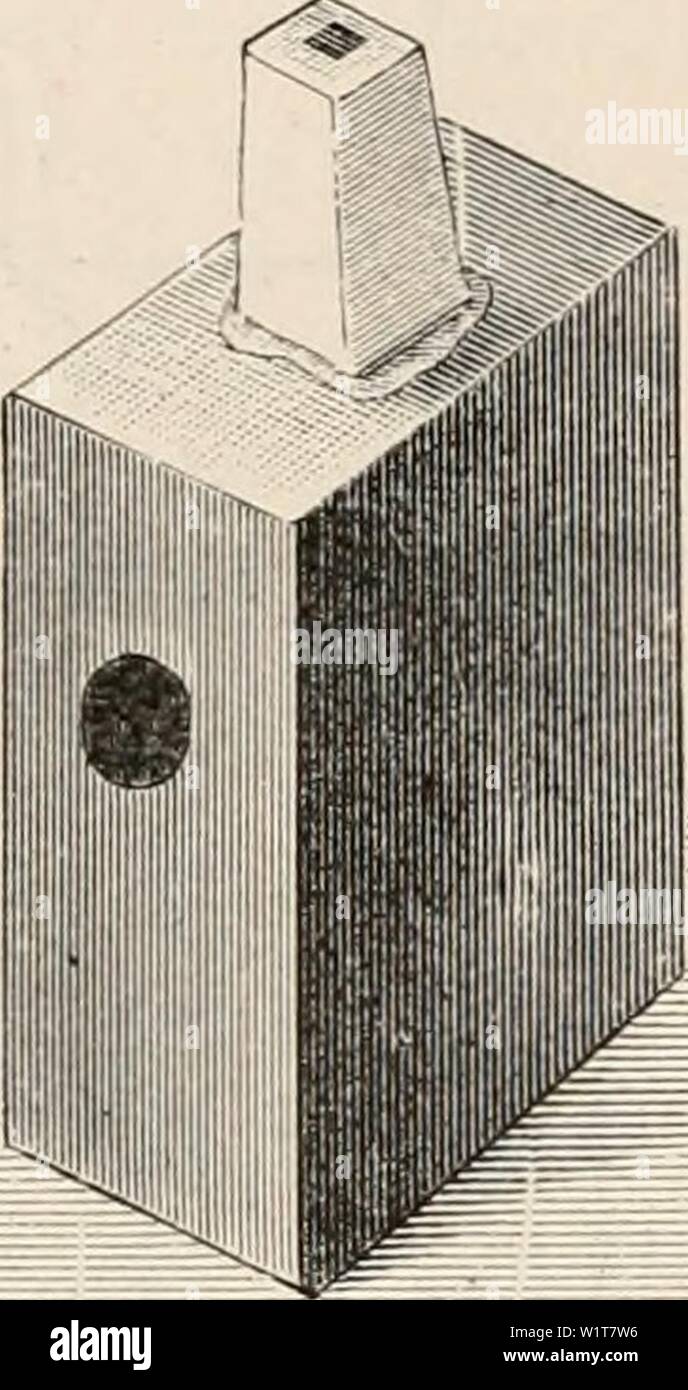 Archive image from page 97 of Das botanische praktikum, anleitung zum. Das botanische praktikum, anleitung zum selbststudium der mikroskopischen botanik für anfänger und geübtere, zugleich ein handbuch der mikroskopischen technik  dasbotanischepra00stra Year: 1923 70 Parafflneinbettung durch Vermittlung von Xylol.    Diese werden weiterhin niit einem erhitzten kleinen Spatel einem größeren Paraffinblock, oder einem entsprechend zugeschnittenen Korken oder Holzklötzchen aufgeschmolzen. Die Klötzchen müssen eine Stärke haben, wie sie für eine gute Befestigung in der Klammer des Mikrotom-Objektha Stock Photo