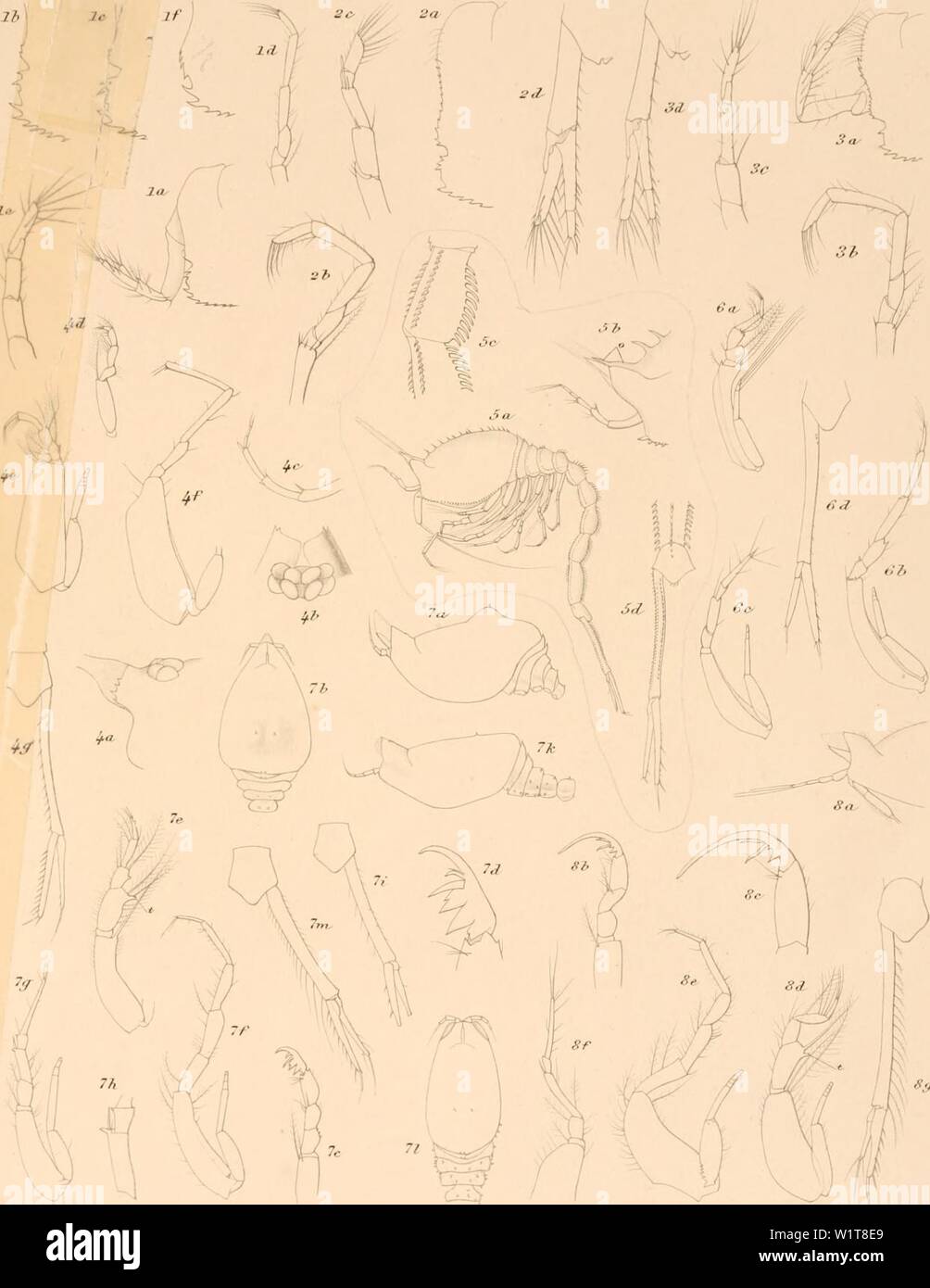 E Intermedia High Resolution Stock Photography And Images Alamy