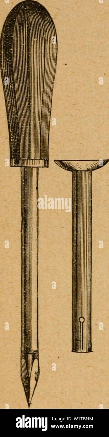 Archive image from page 467 of The dairyman's manual; a practical. The dairyman's manual; a practical treatise on the dairy  dairymansmanualp01stew Year: 1888 462 THE dairyman's MANUAL. an immediate and safe cure is possible, it is useless to waste time in trying questionable remedies. This cure is to perforate the paunch at the point of its greatest distension with an instrument known as a trocar, which is contained in a separate tube called a canula (figure 106). This instrument is plunged into the paunch at a point equidistant from the point of the hip, the last rib and the loin ; being the Stock Photo