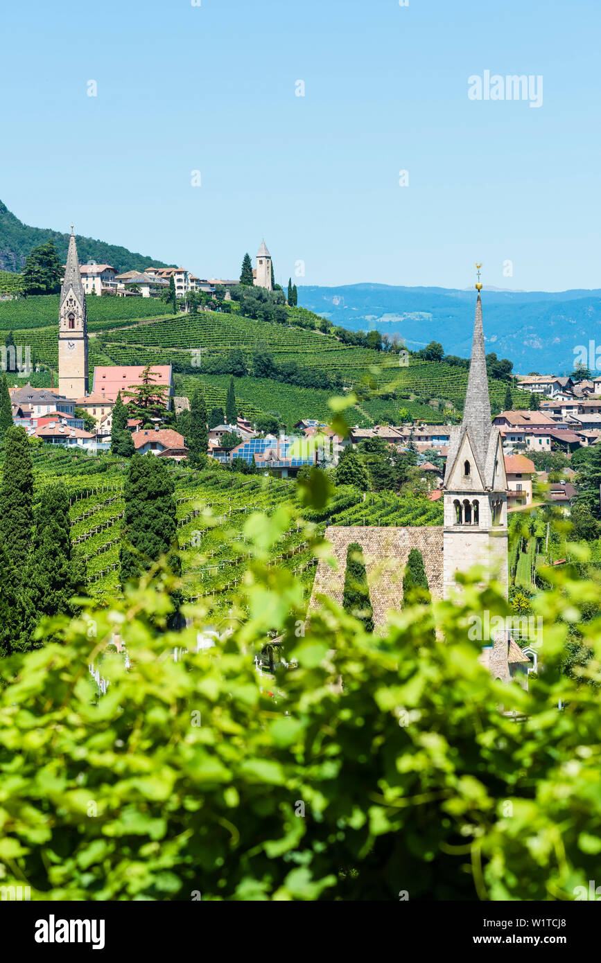 Tramin village hires stock photography and images Alamy