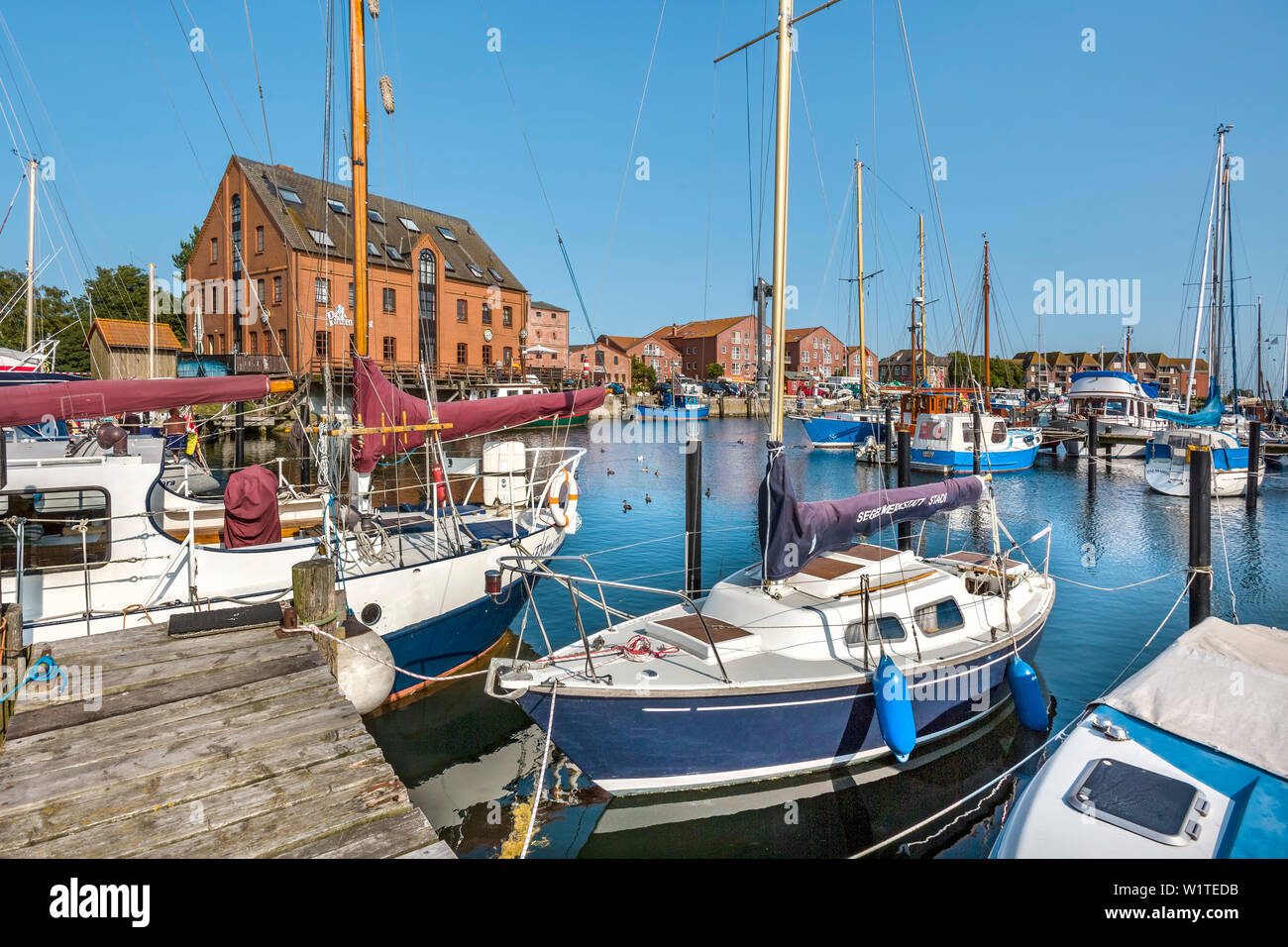 Marina, Orth, Fehmarn island, Baltic coast, Schleswig-Holstein, Germany Stock Photo