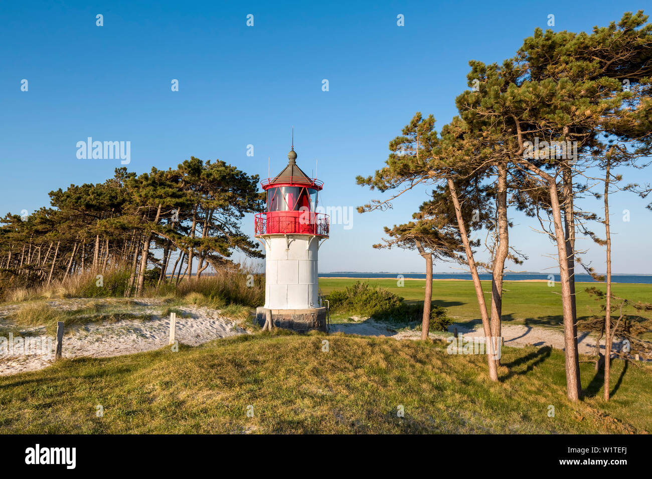 Lighthous, Gellen, Hiddensee island, Mecklenburg-Western Pomerania, Germany Stock Photo