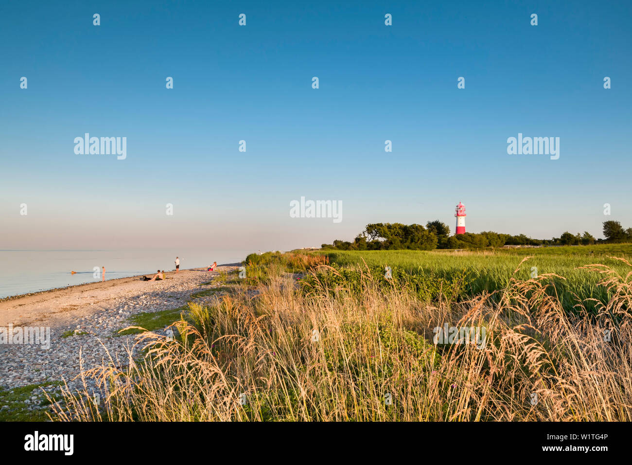 Falshoeft Lighthouse, Falshoeft, Angeln, Baltic coast, Schleswig-Holstein, Germany Stock Photo