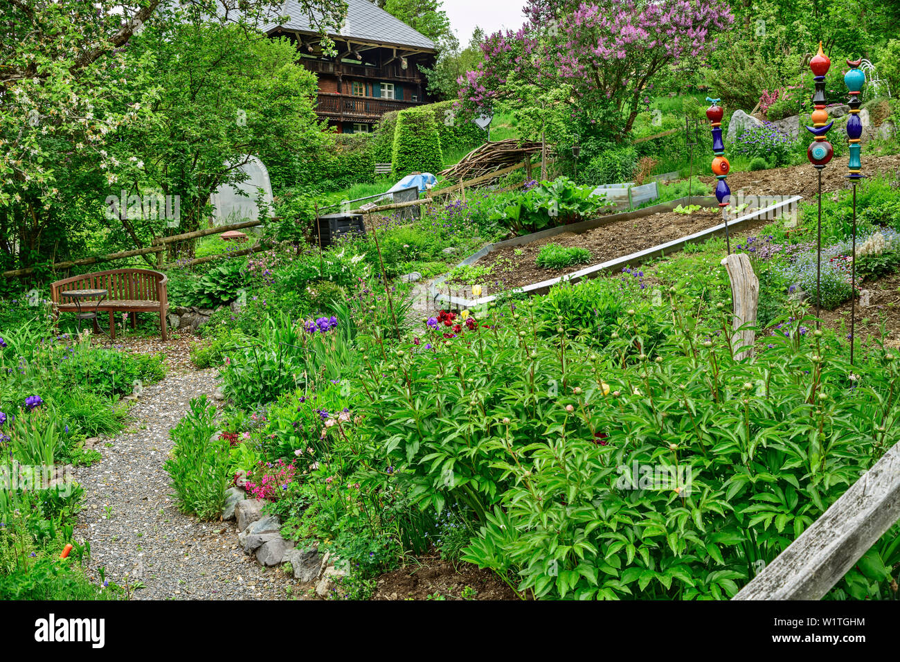 Path leading through garden, traditional house of Black Forest in