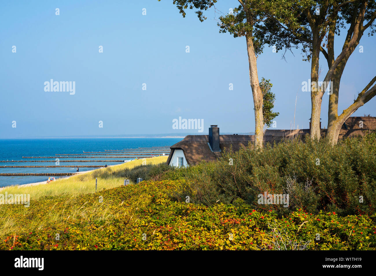 ' thatched house at the beach in Ahrenshoop, , Fischland, Baltic Sea, Mecklenburg-Western Pomerania; Germany, Europe' Stock Photo