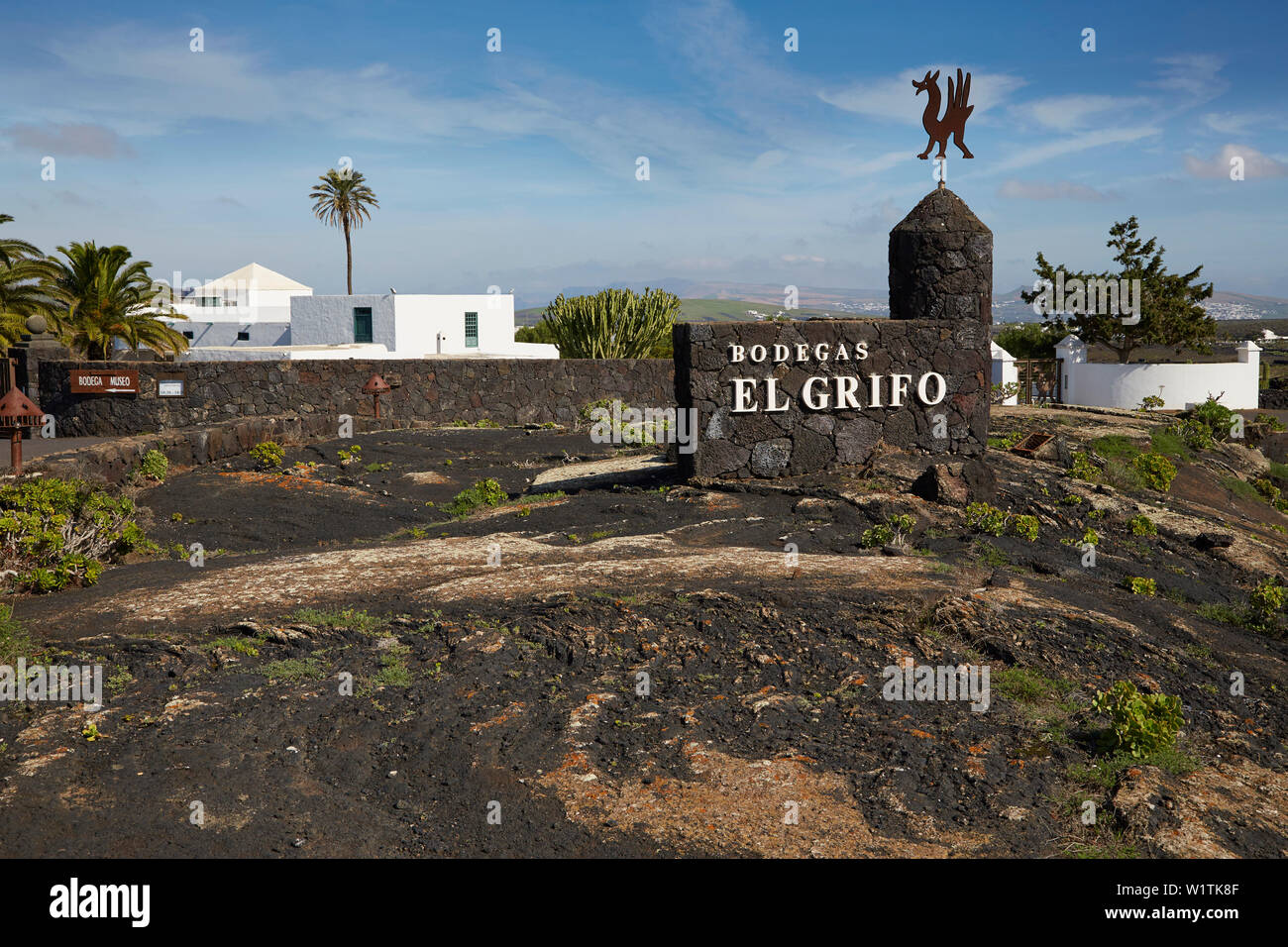 Bodegas El Grifo in the wine growing area near Masdache, Lanzarote, Canary  Islands, Islas Canarias, Spain, Europe Stock Photo - Alamy