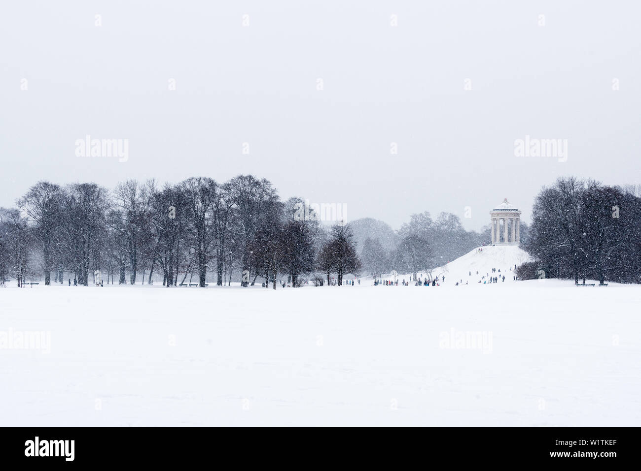 Sledging during Snow Fall at Monopteros, English Garden, Munich, Germany Stock Photo