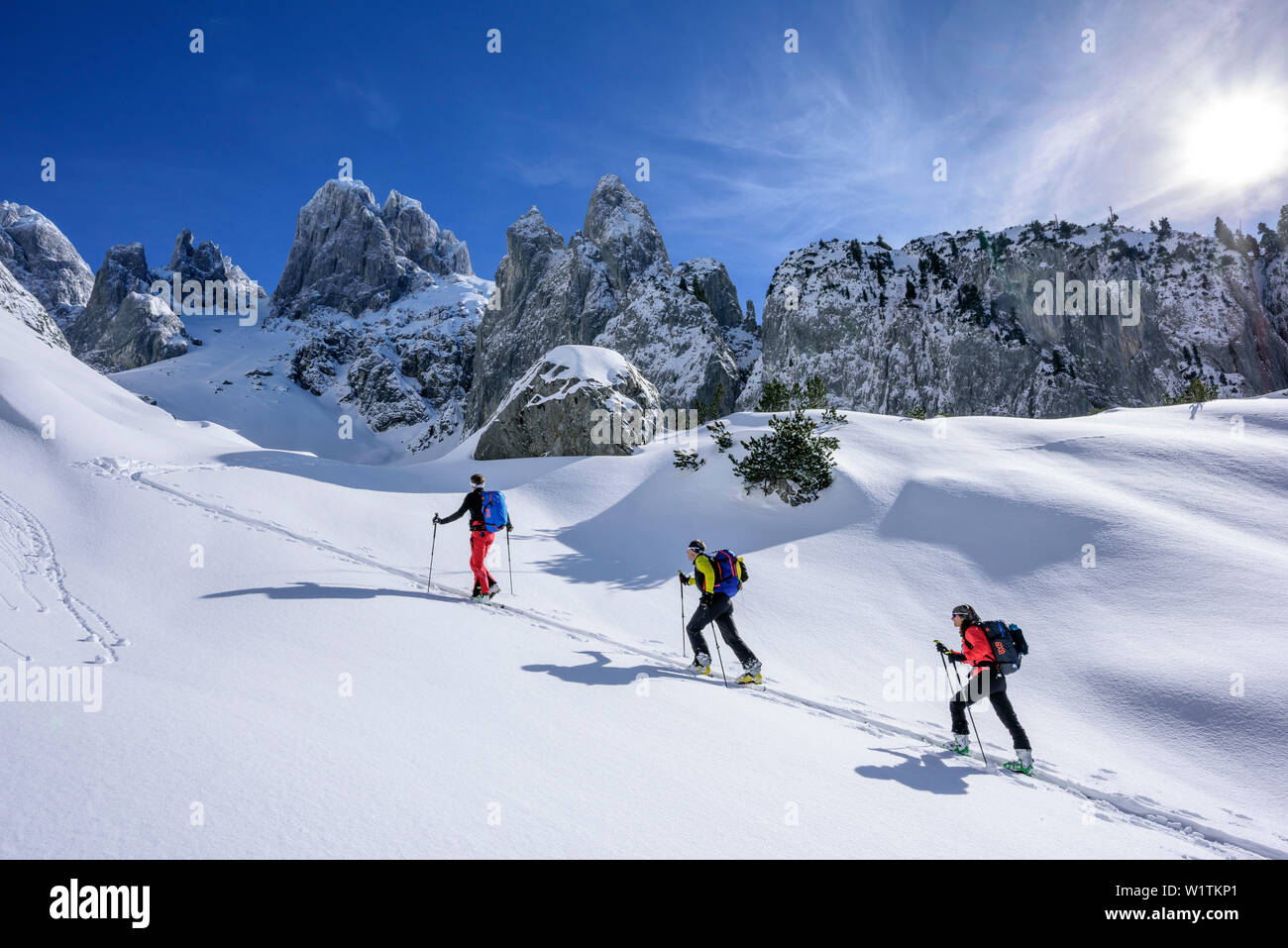 Bischofsmuetze hi-res stock photography and images - Alamy