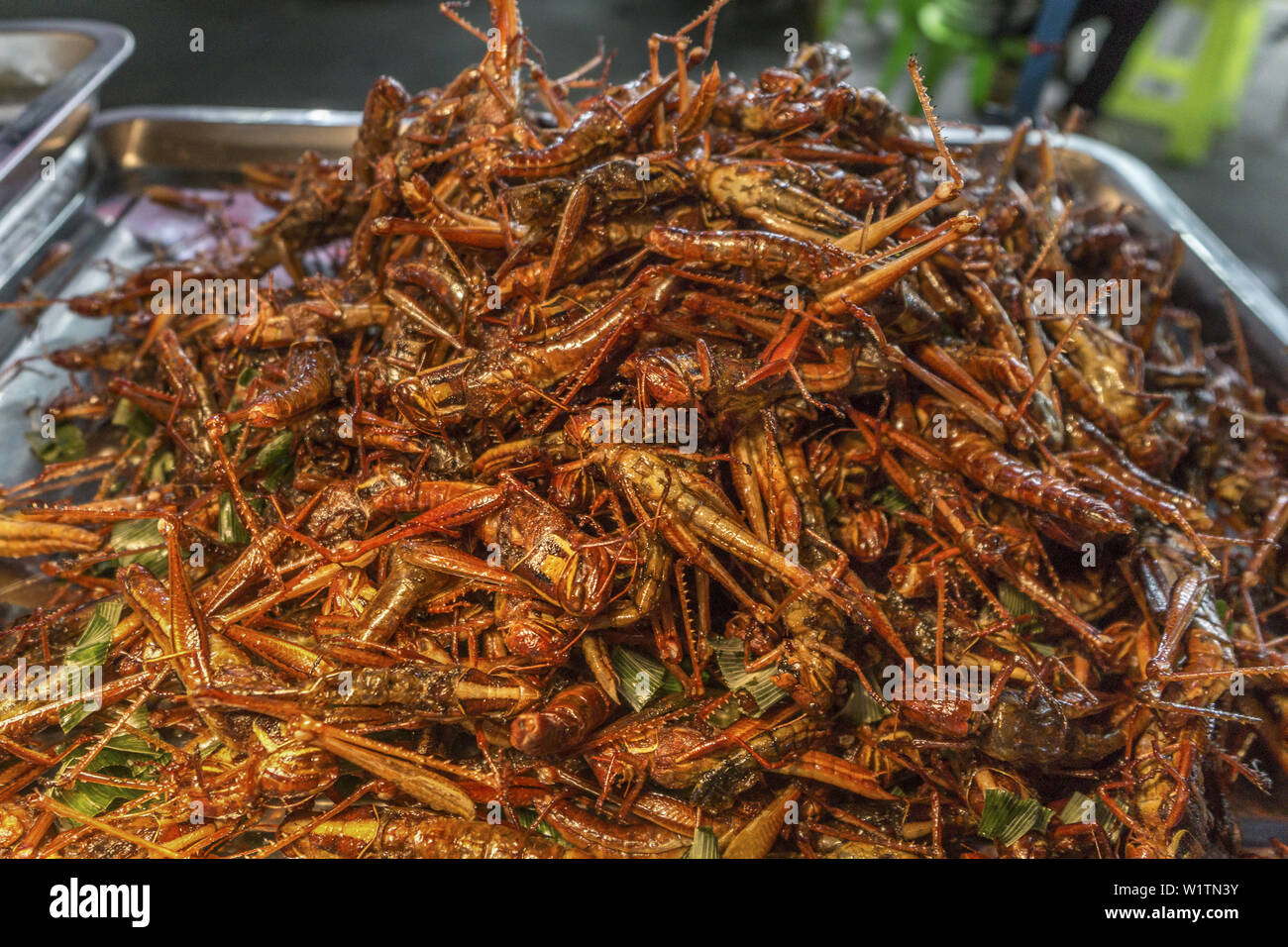 Street Vendor selling fried insects on Khao San Road, Bangkok, Thailand Stock Photo