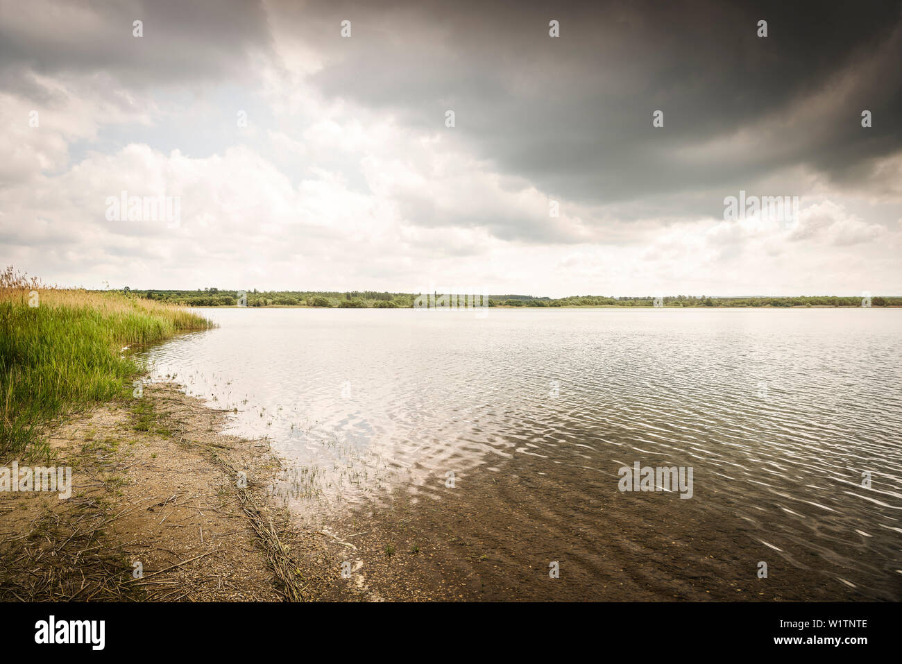 recultivation at Gremming Lake, Ferropolis - City of Iron, Dessau, Saxony-Anhalt, European Route of Industrial Culture Stock Photo